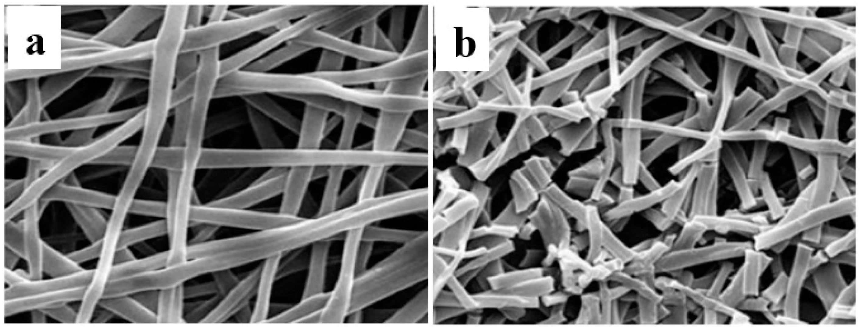Membranes 08 00015 g006