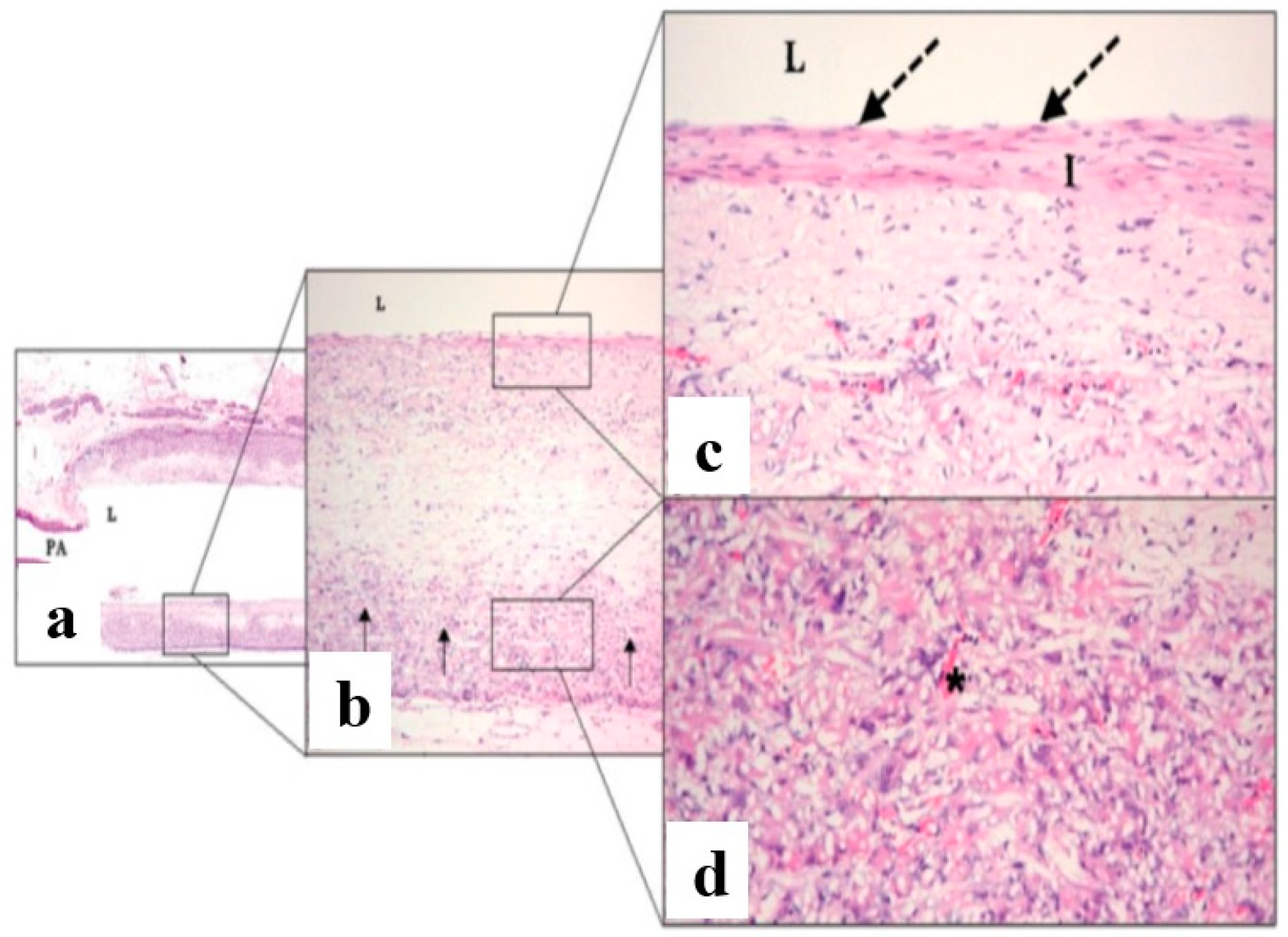 Membranes 08 00015 g010