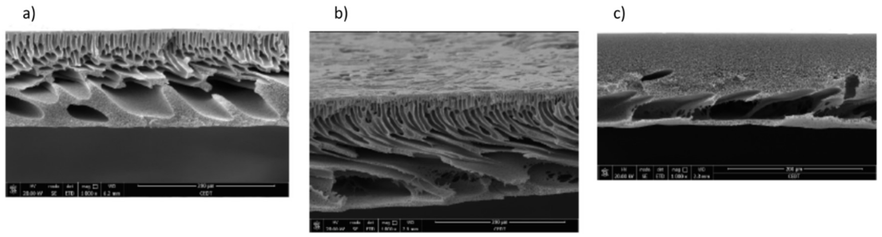Membranes 08 00018 g008 Membranes 08 00018 g008