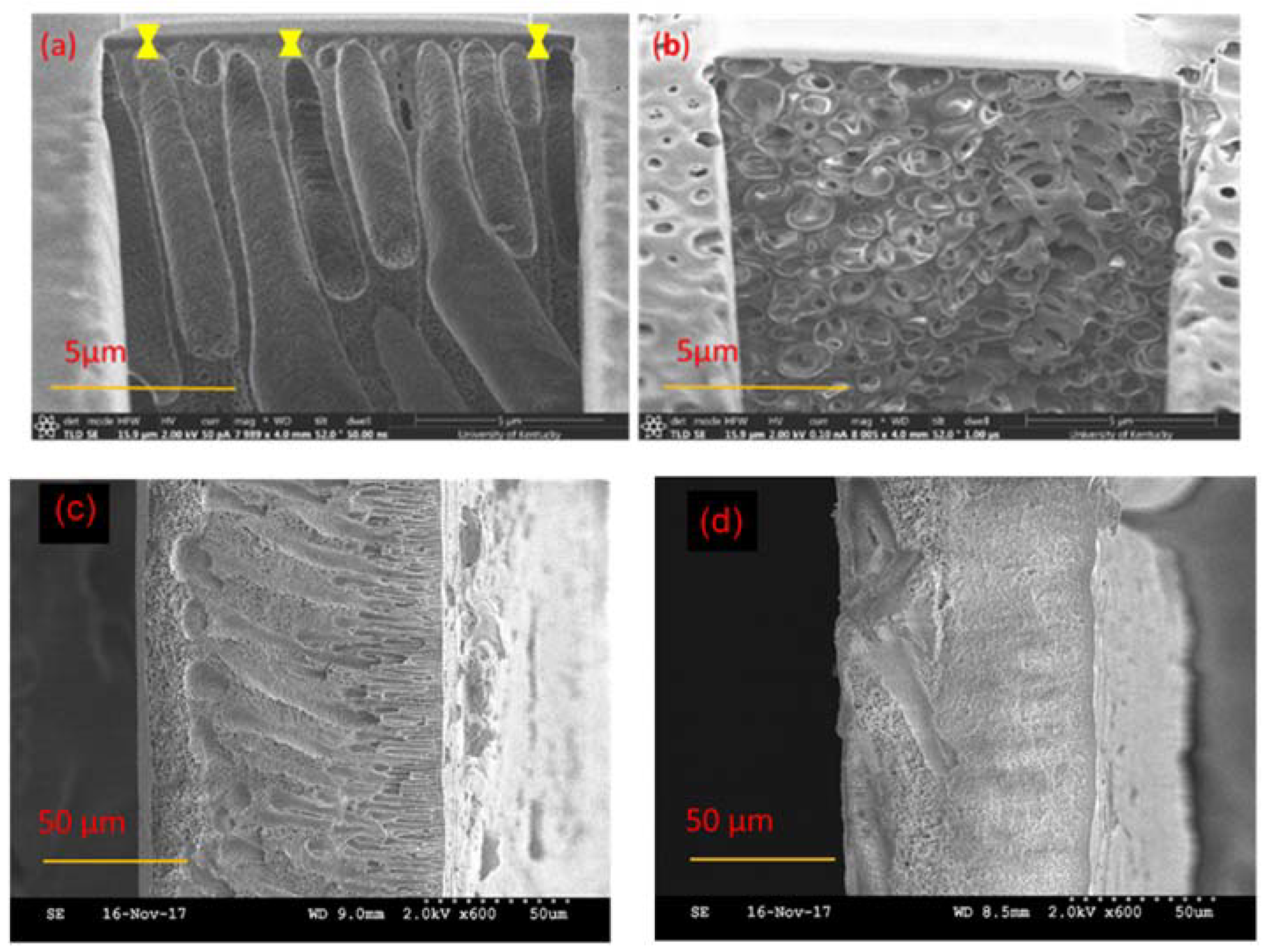 Membranes 08 00023 g007 Membranes 08 00023 g007