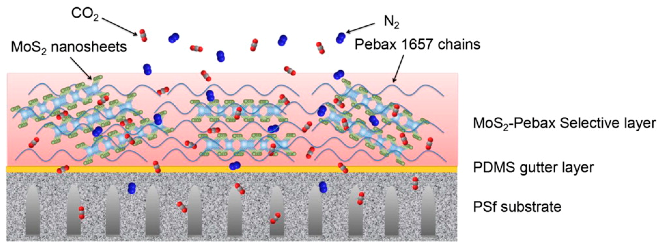 Membranes 08 00024 g010 550