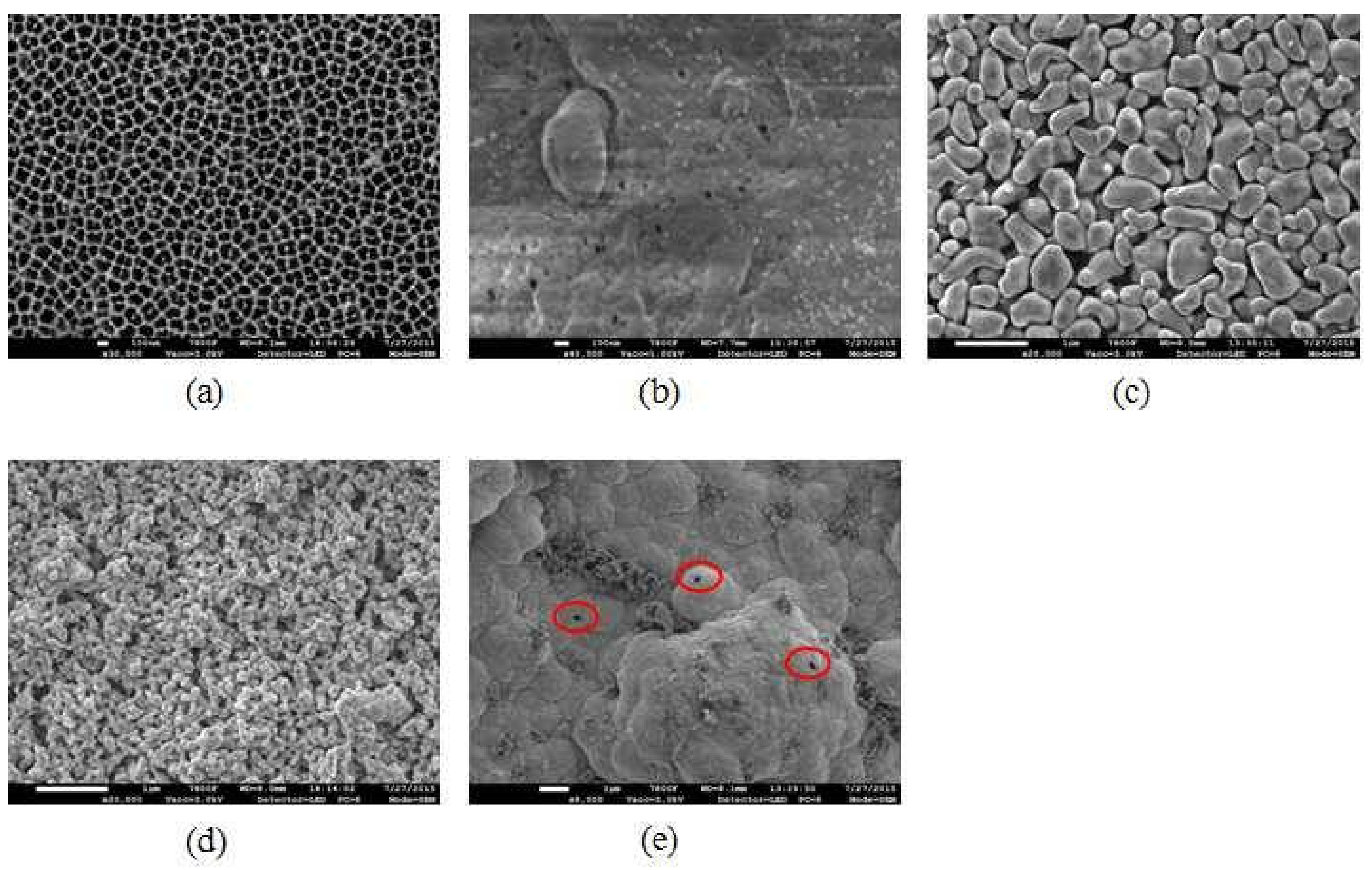 Membranes 08 00029 g010