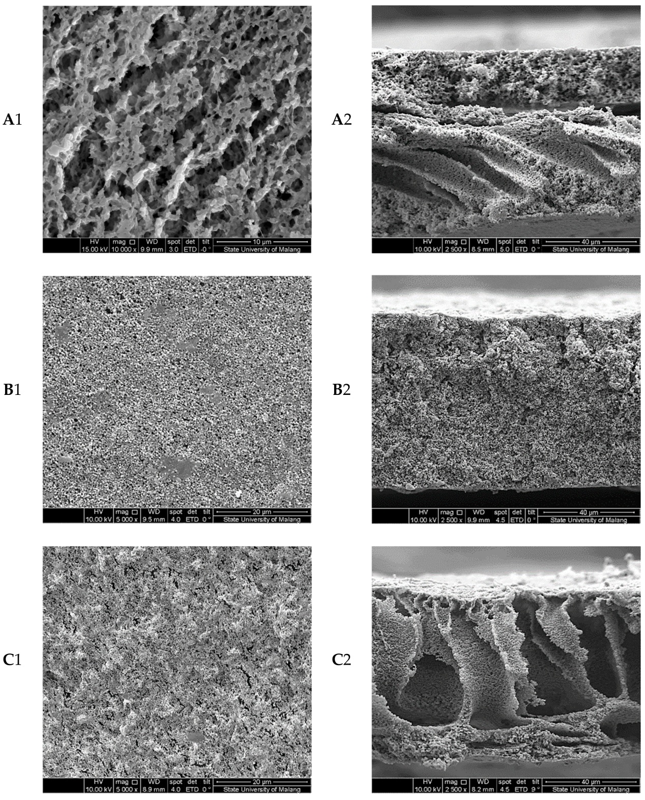 Membranes 08 00036 g001a