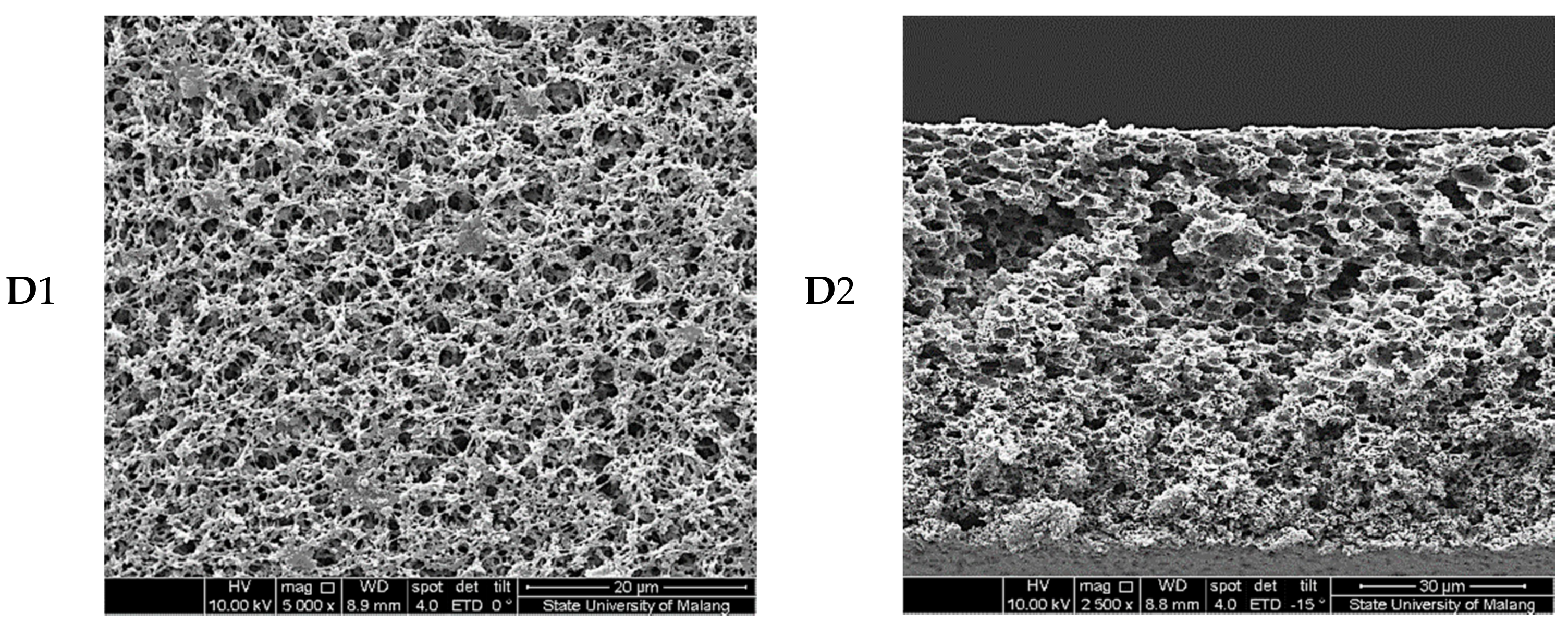 Membranes 08 00036 g001b