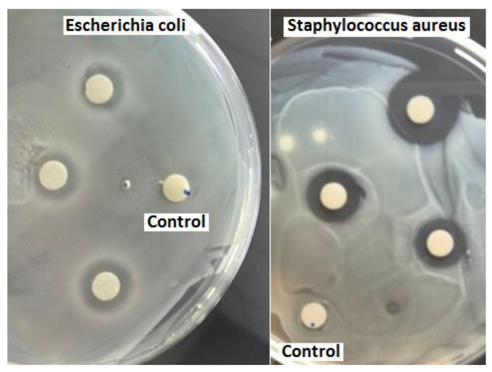 Membranes 08 00038 g002