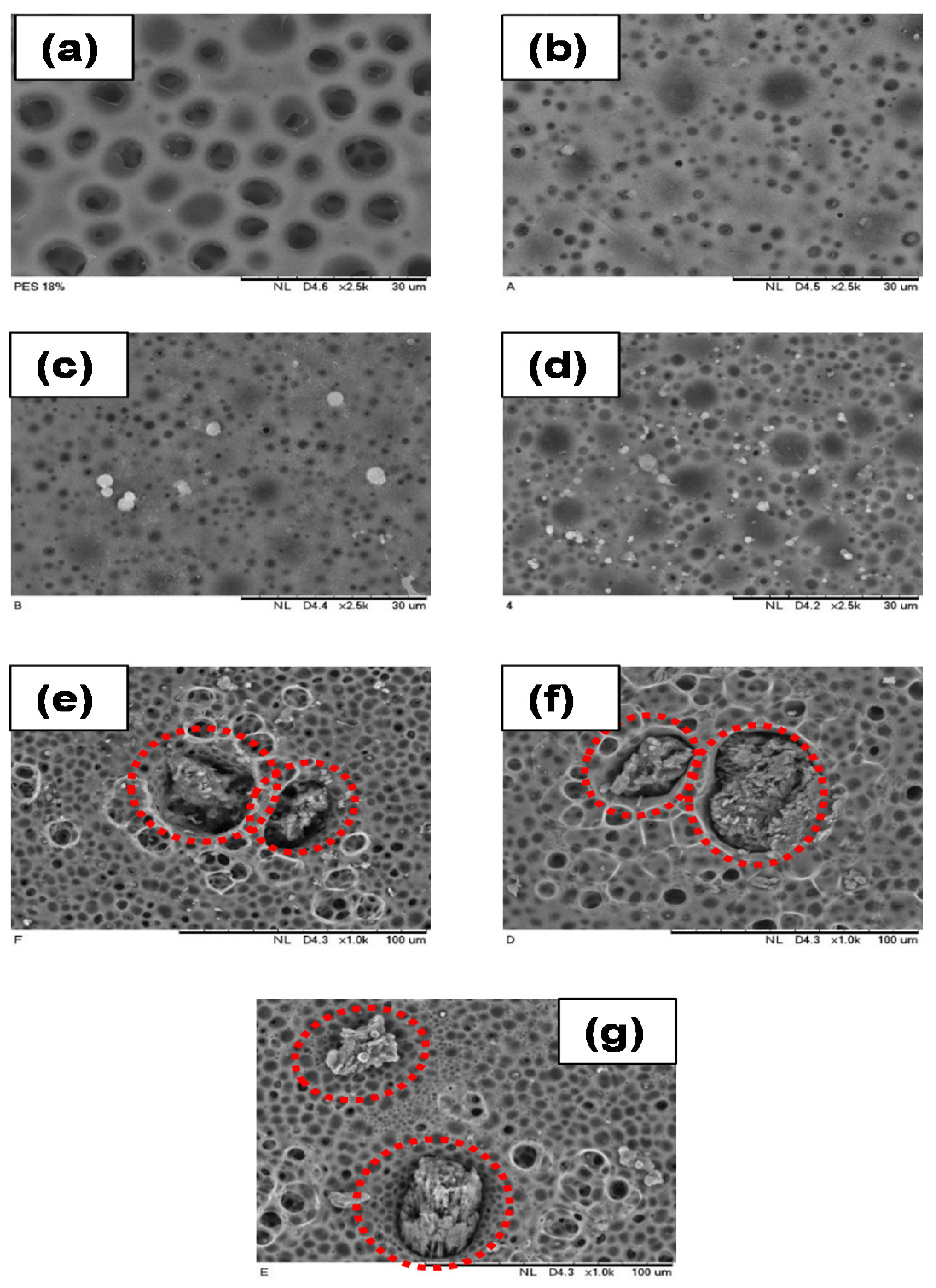 Membranes 08 00042 g005