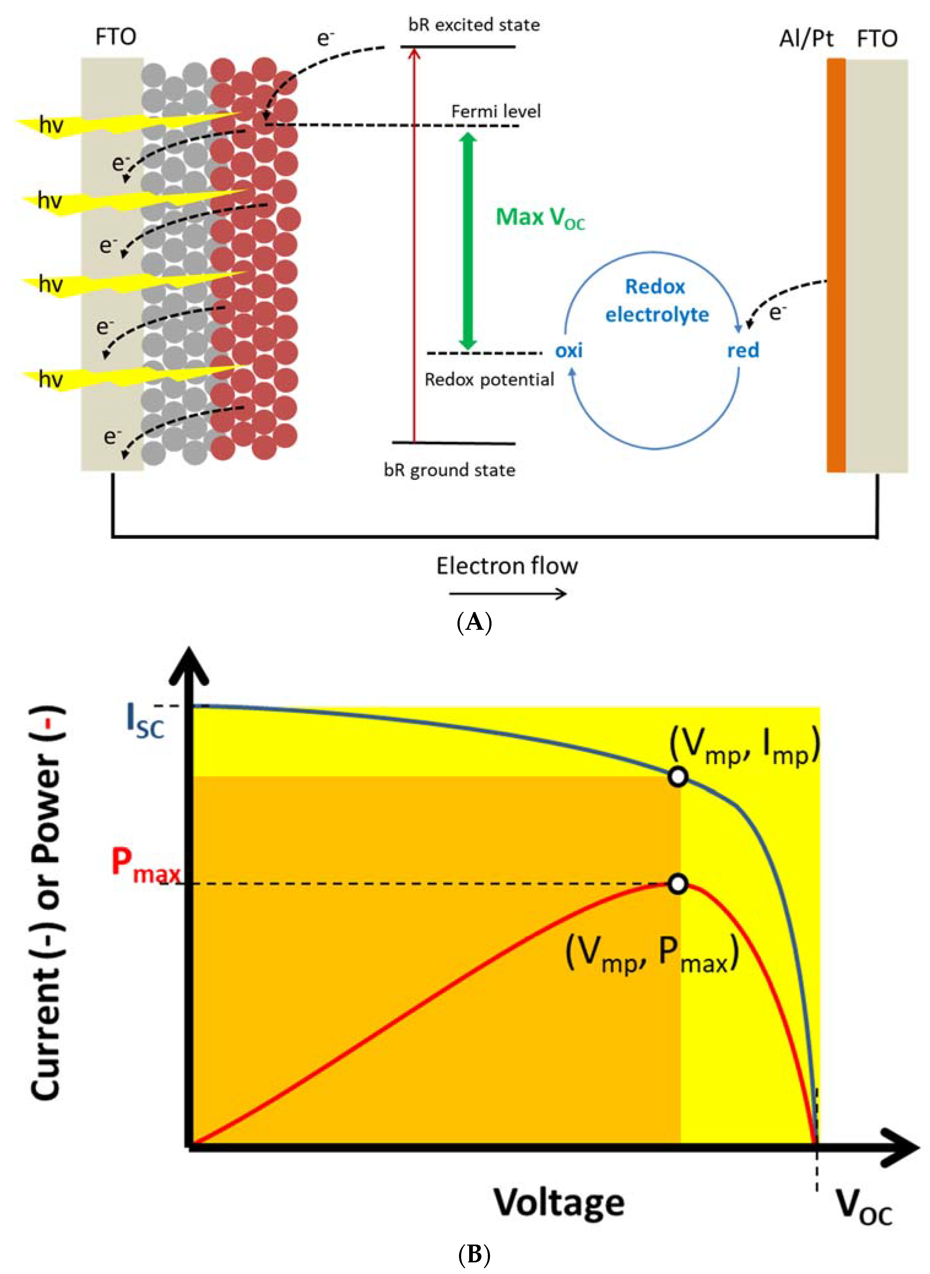 Membranes 08 00044 g002