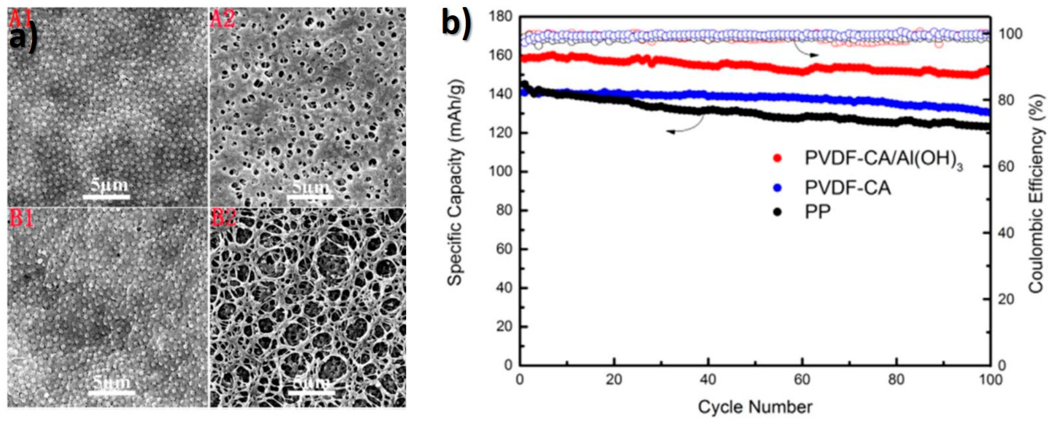 Membranes 08 00045 g006 Membranes 08 00045 g006