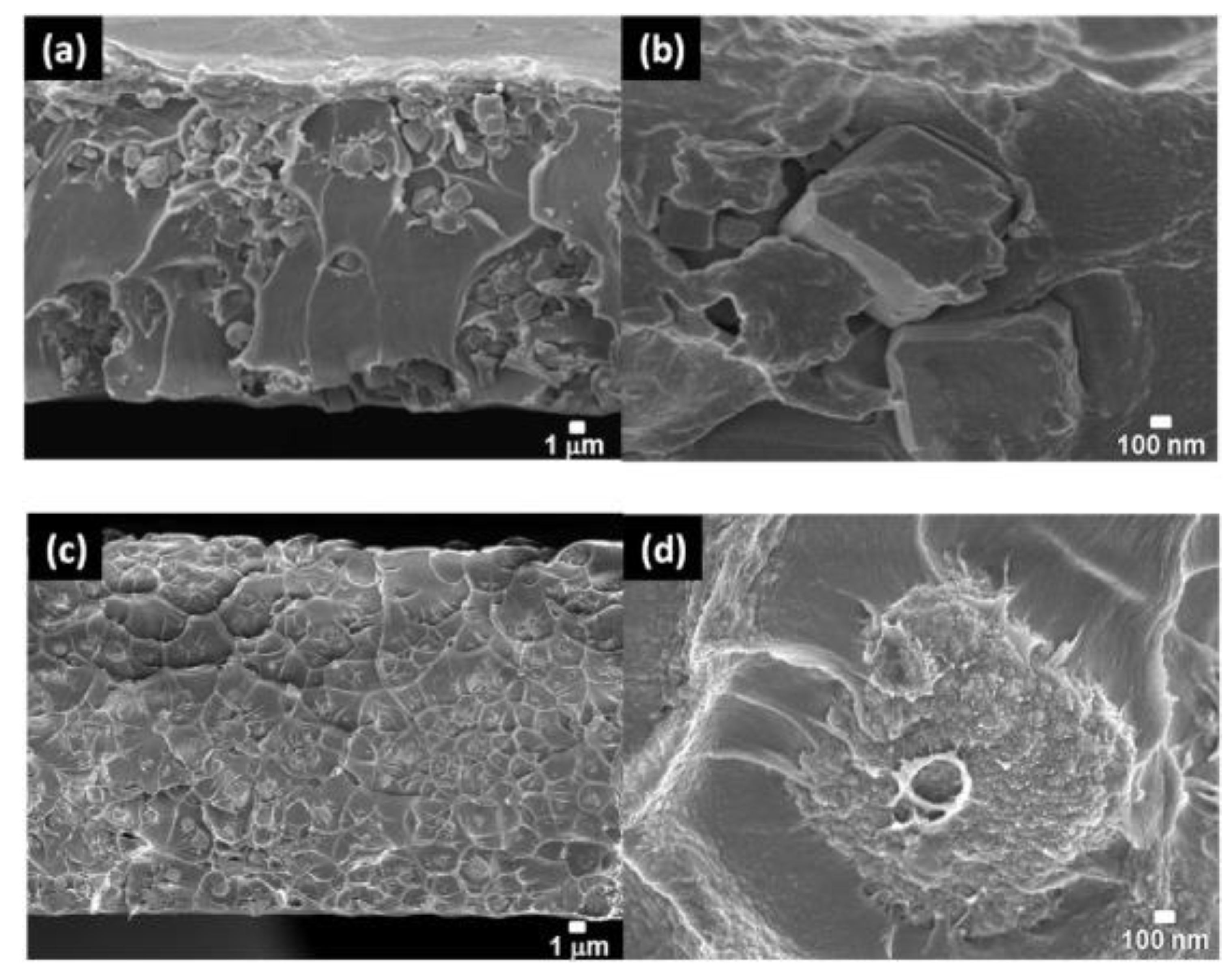 Membranes 08 00050 g009 Membranes 08 00050 g009