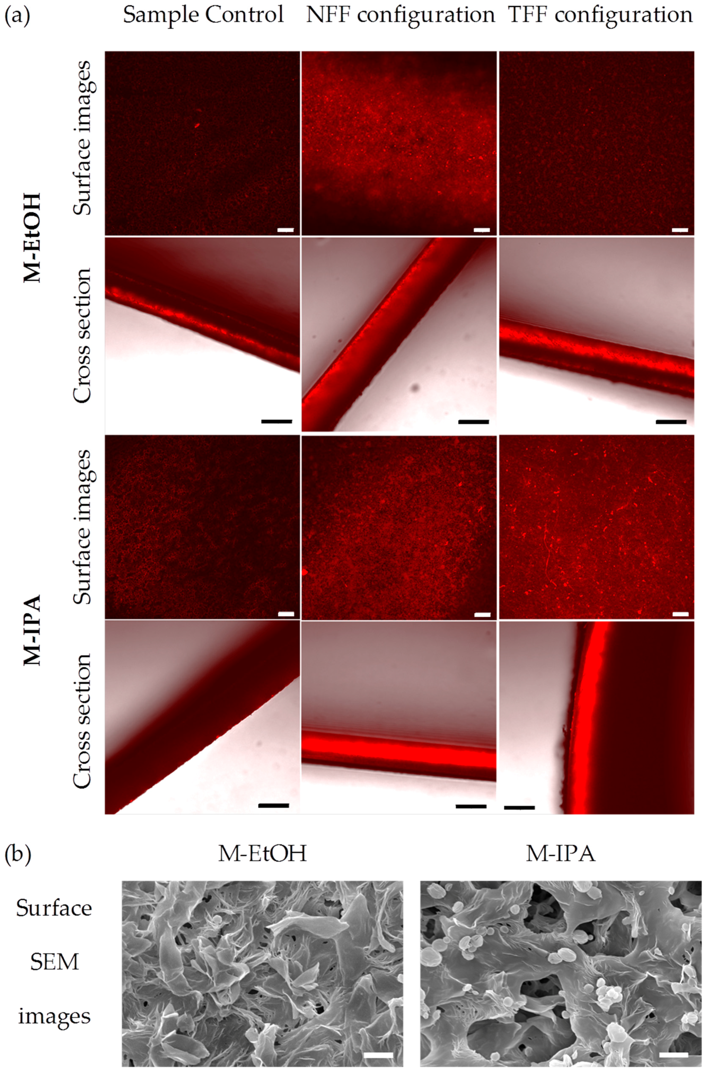 Membranes 08 00051 g002 Membranes 08 00051 g002