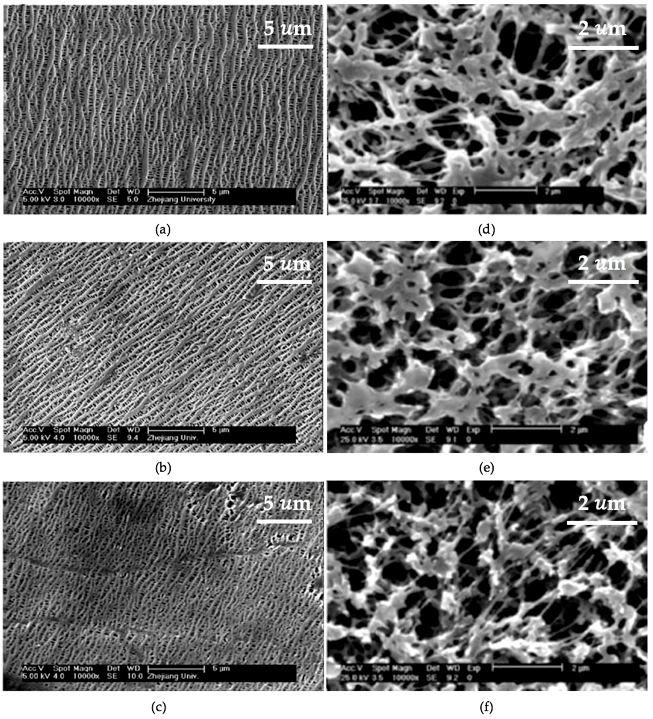 Membranes 08 00056 g001 Membranes 08 00056 g001