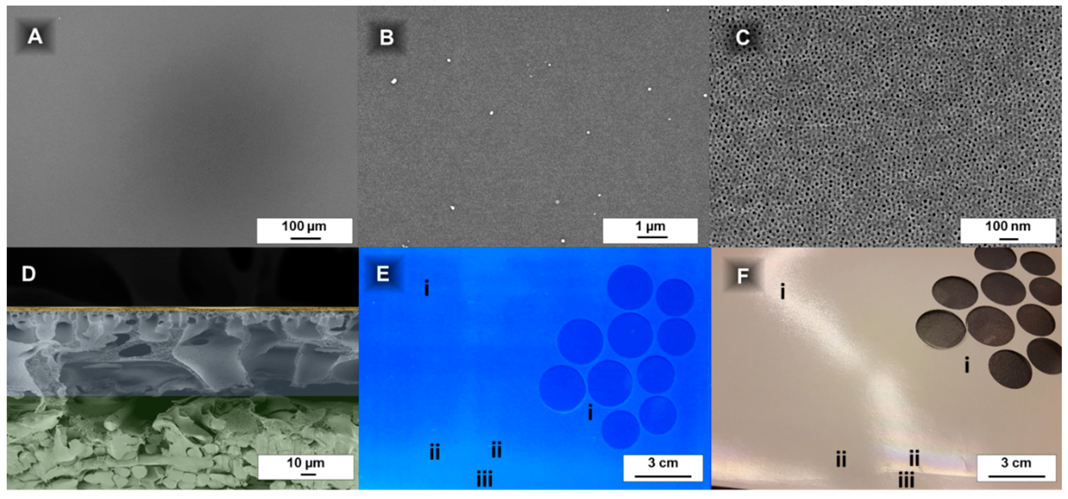 Membranes 08 00057 g002