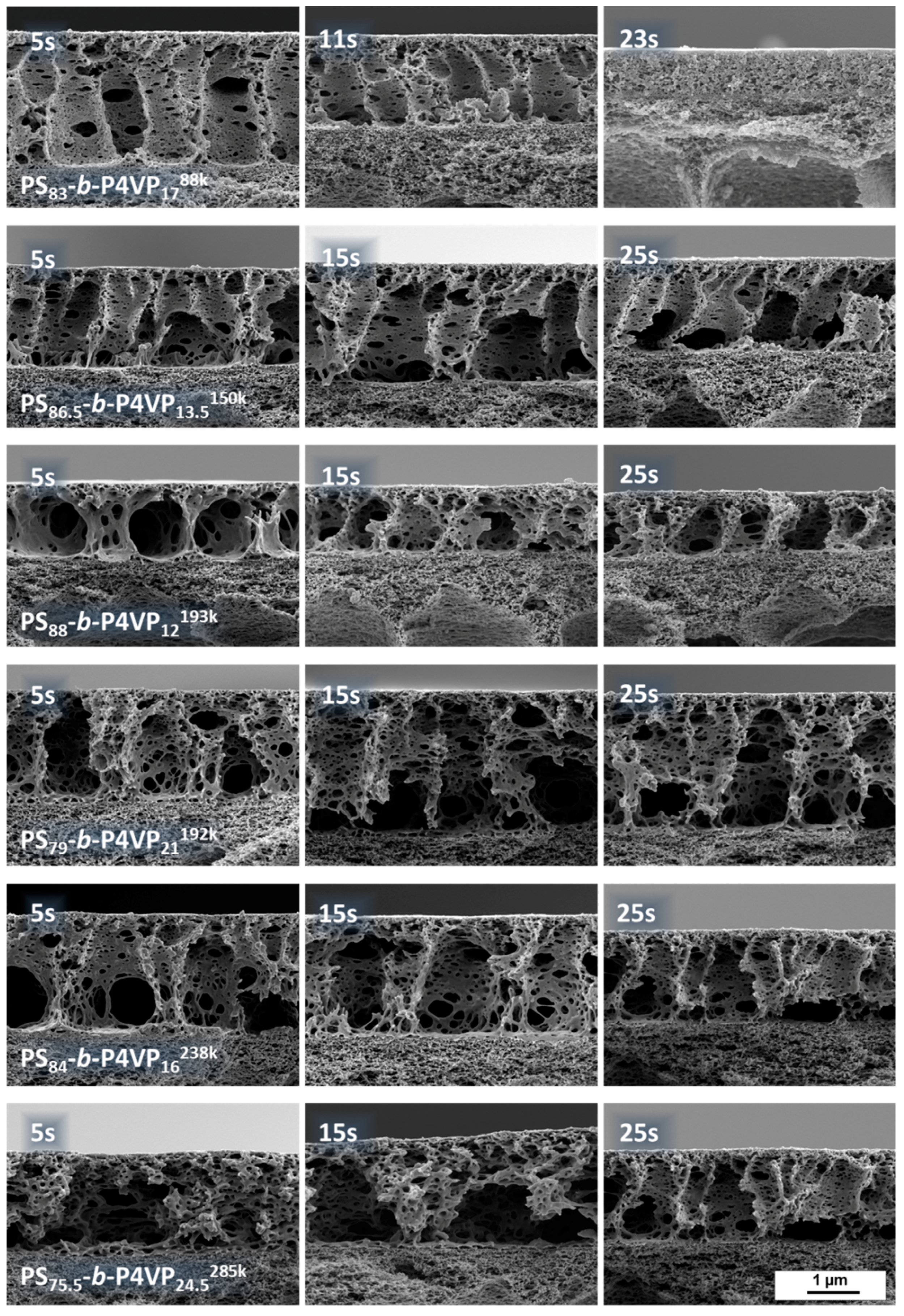 Membranes 08 00057 g0a3