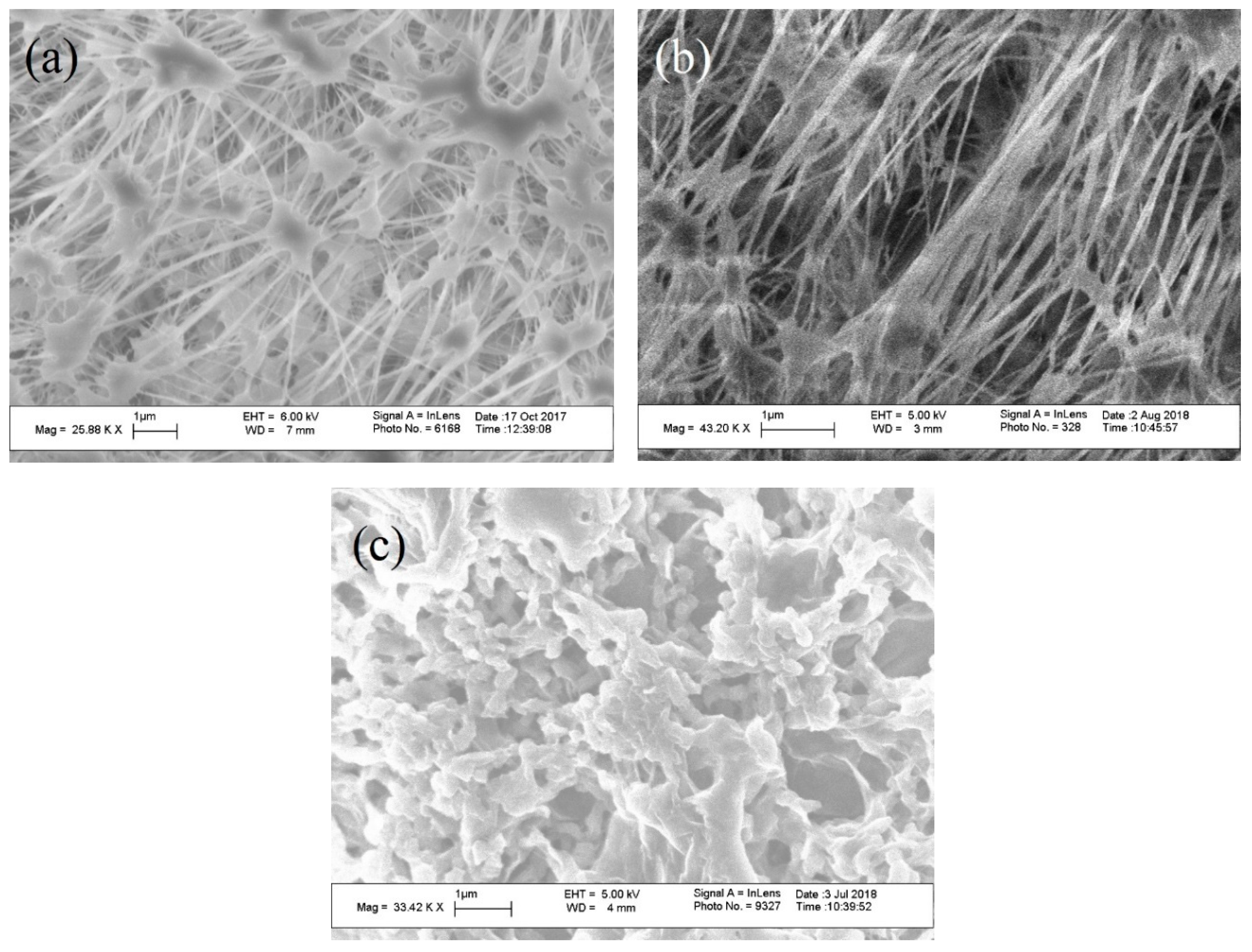 Membranes 08 00063 g002