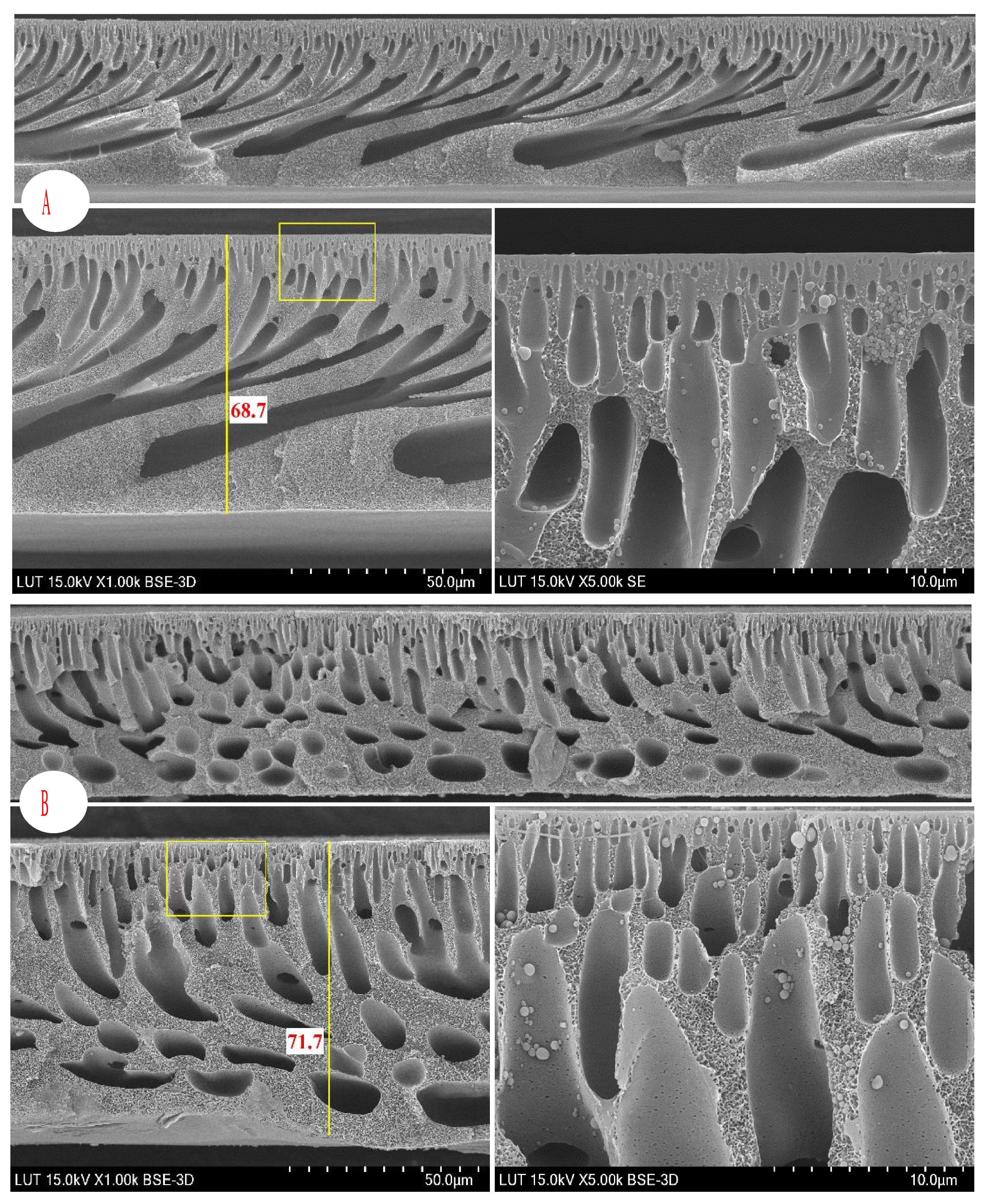 Membranes 08 00080 g005a Membranes 08 00080 g005a