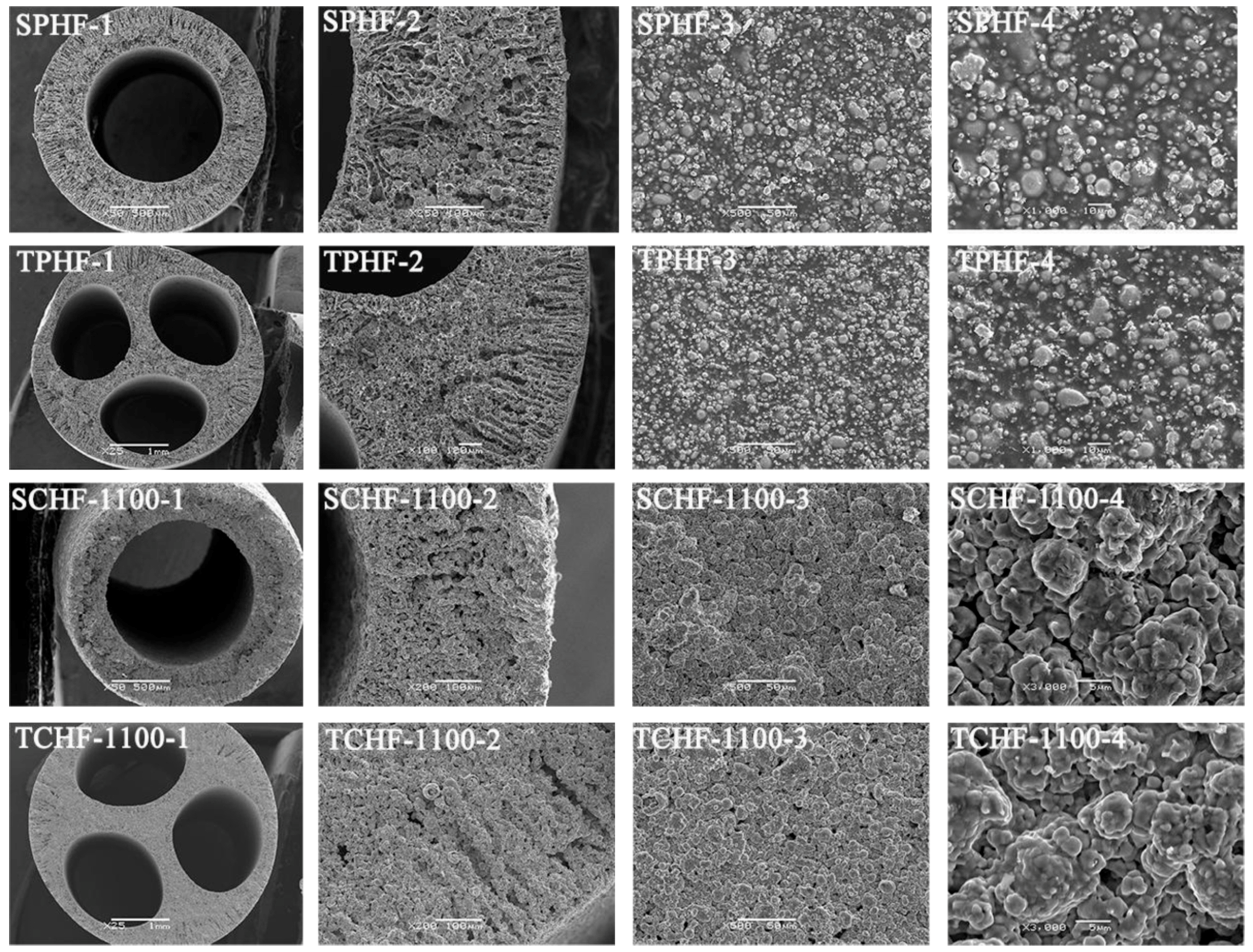 Membranes 08 00083 g002