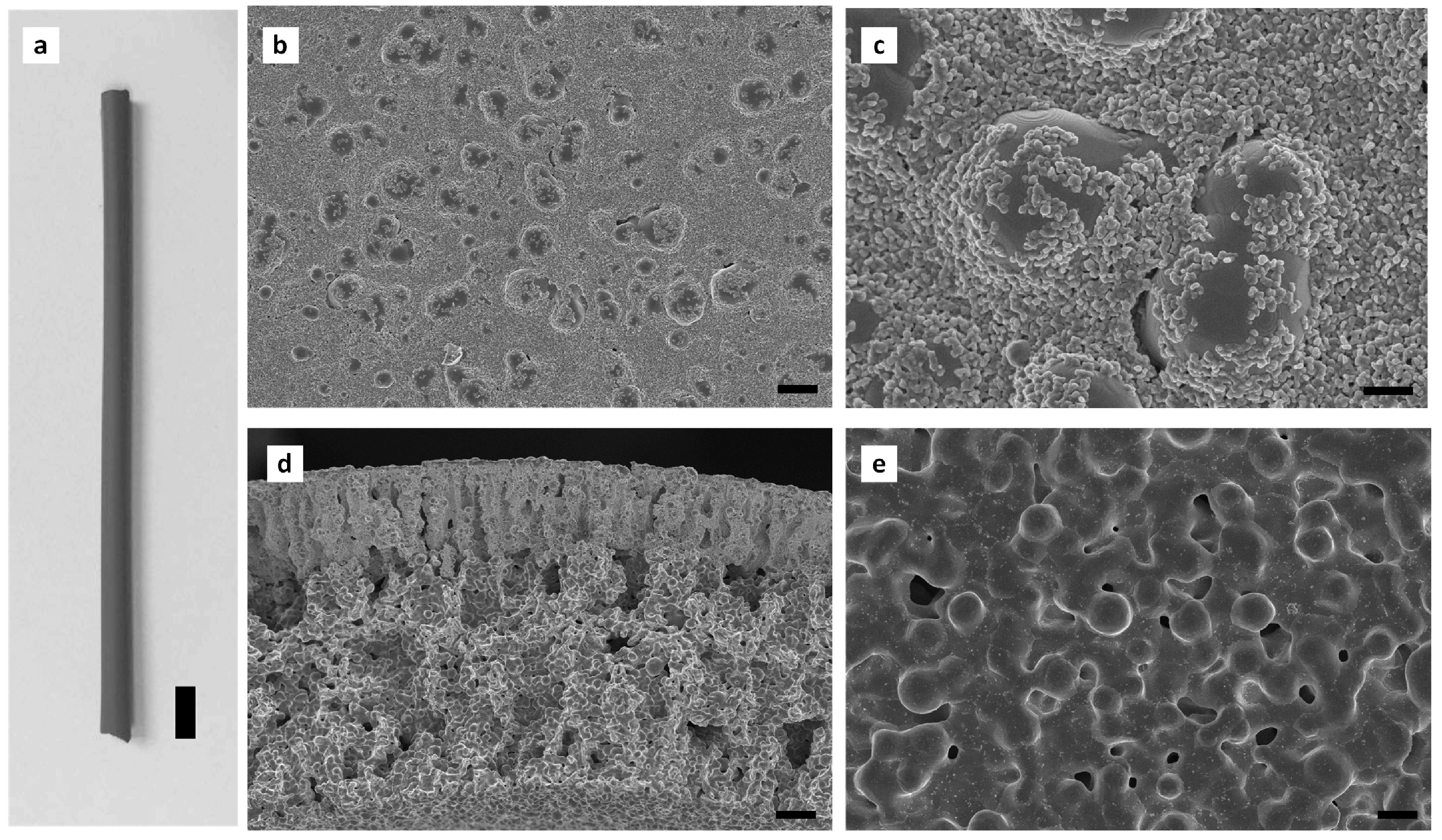 Membranes 08 00083 g003