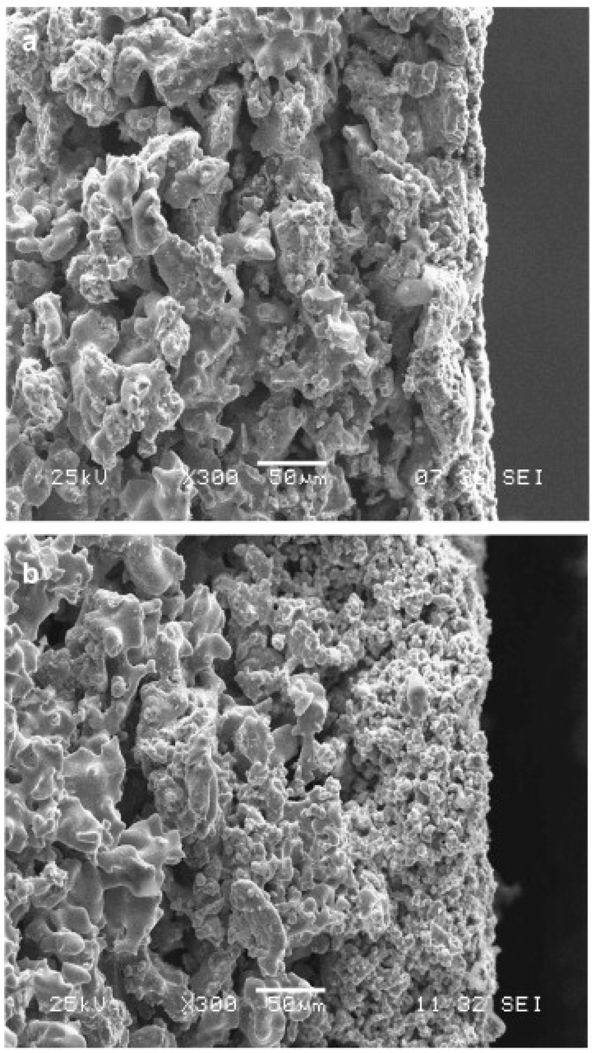 Membranes 08 00083 g005