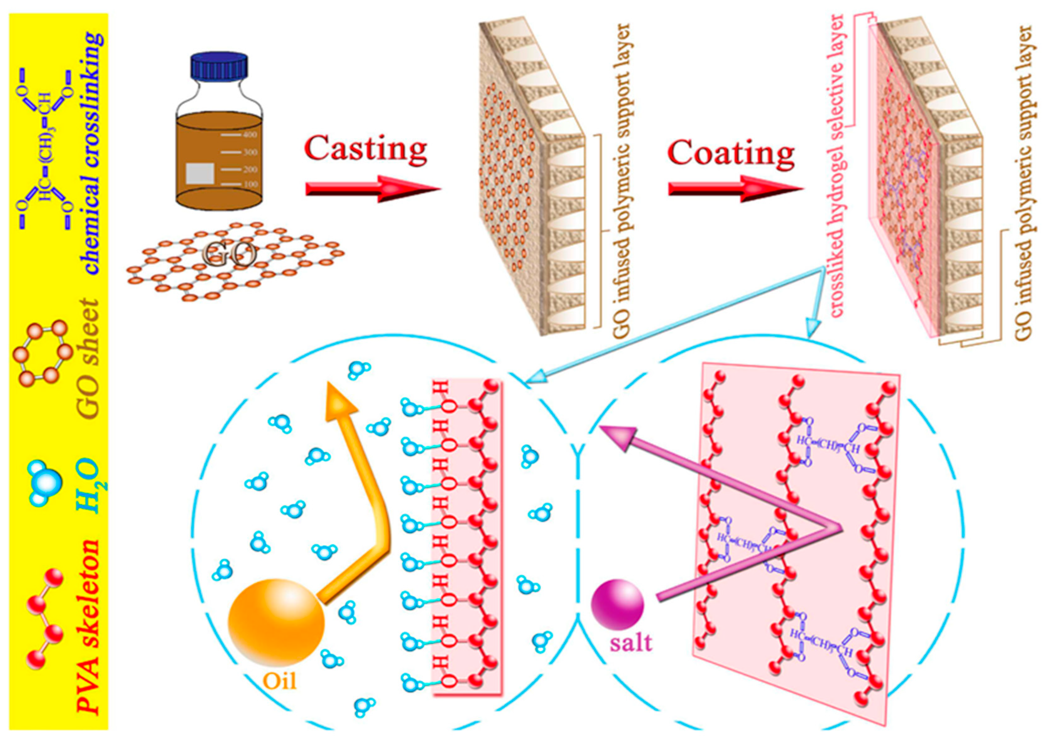 Membranes Free FullText Thin Film Composite Membrane for Oily