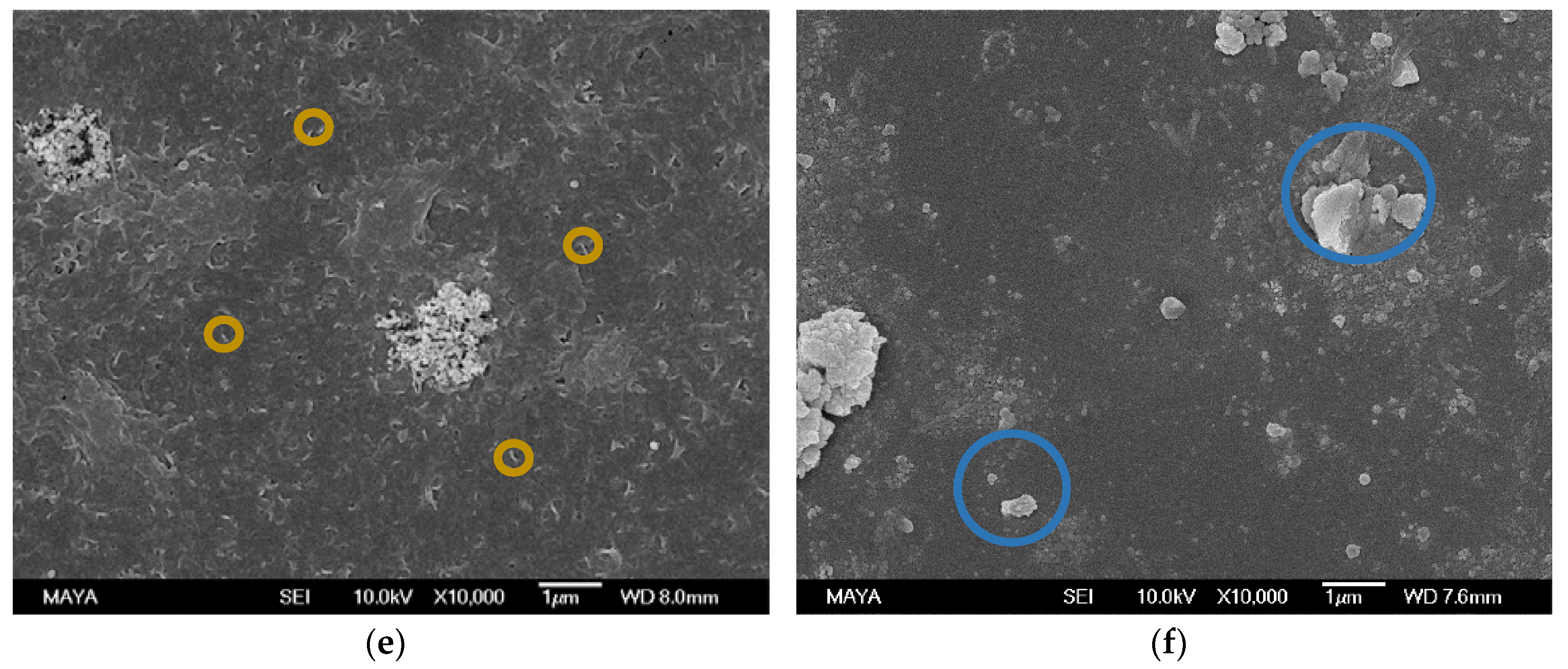Membranes 08 00091 g002b Membranes 08 00091 g002b