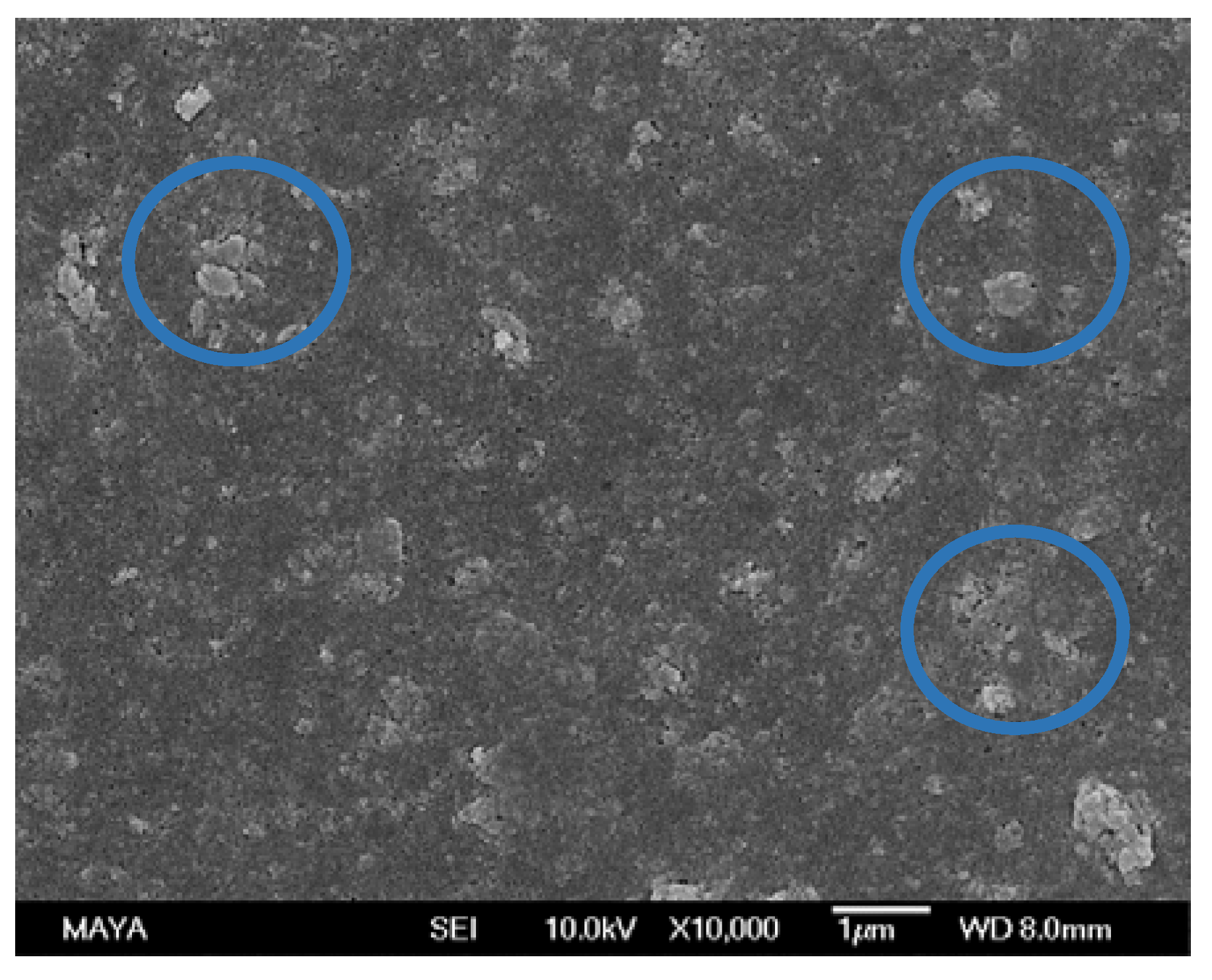 Membranes 08 00091 g005 Membranes 08 00091 g005