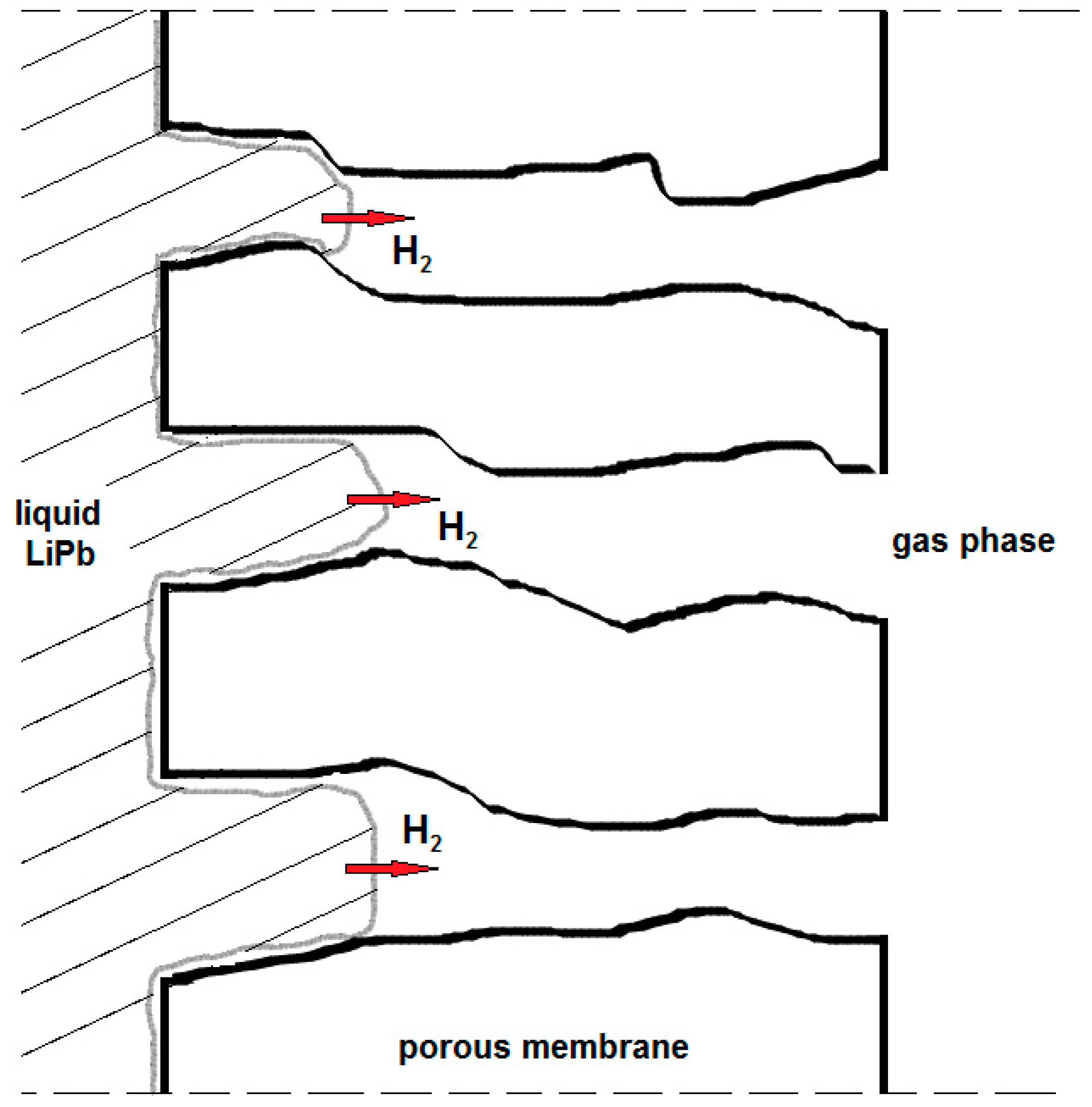Membranes 08 00096 g006