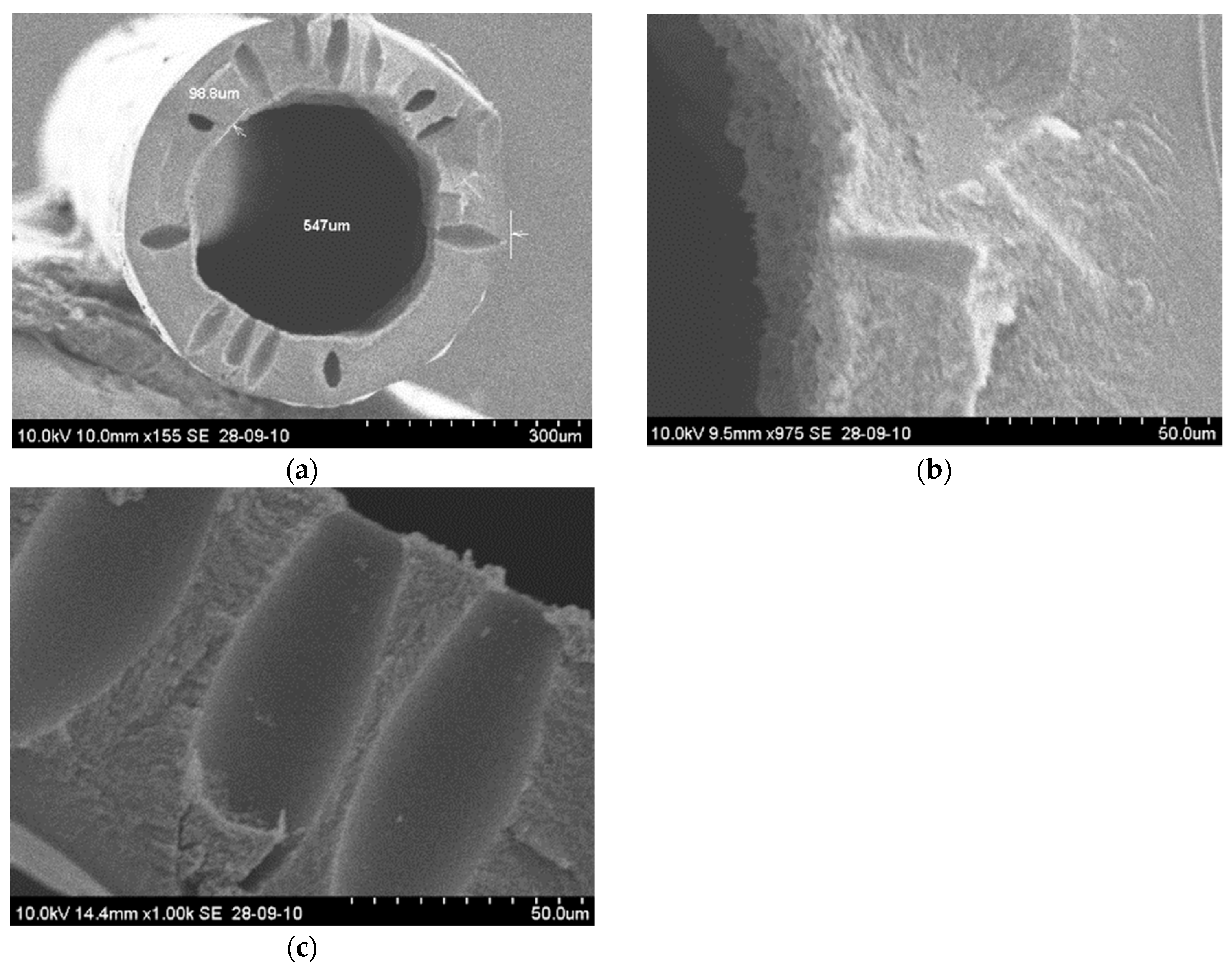Membranes 08 00105 g007 Membranes 08 00105 g007