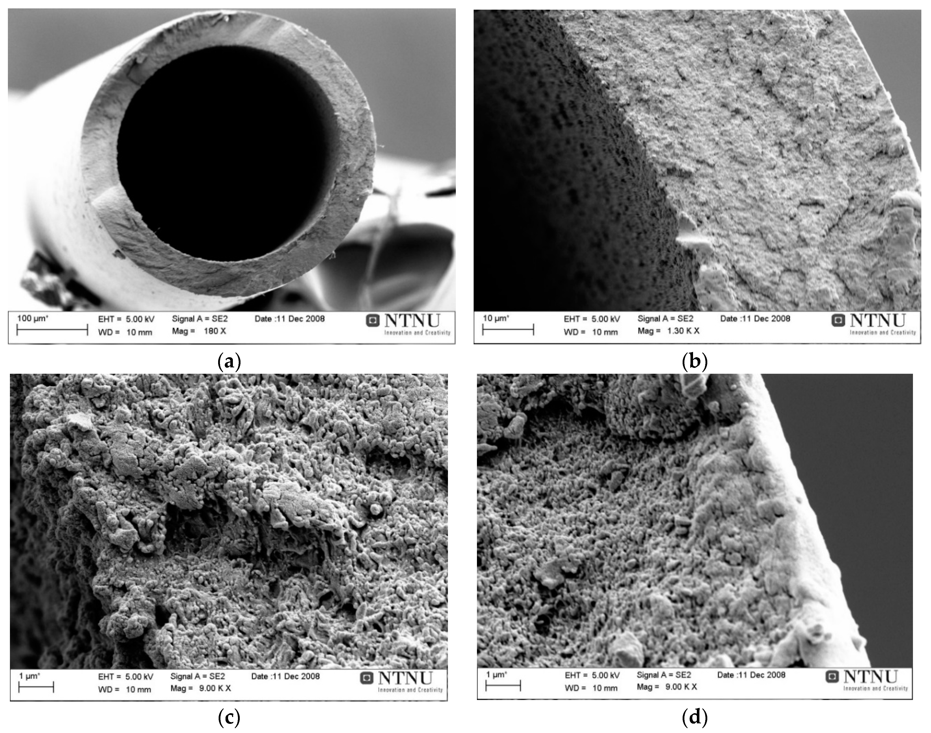 Membranes 08 00105 g010 Membranes 08 00105 g010