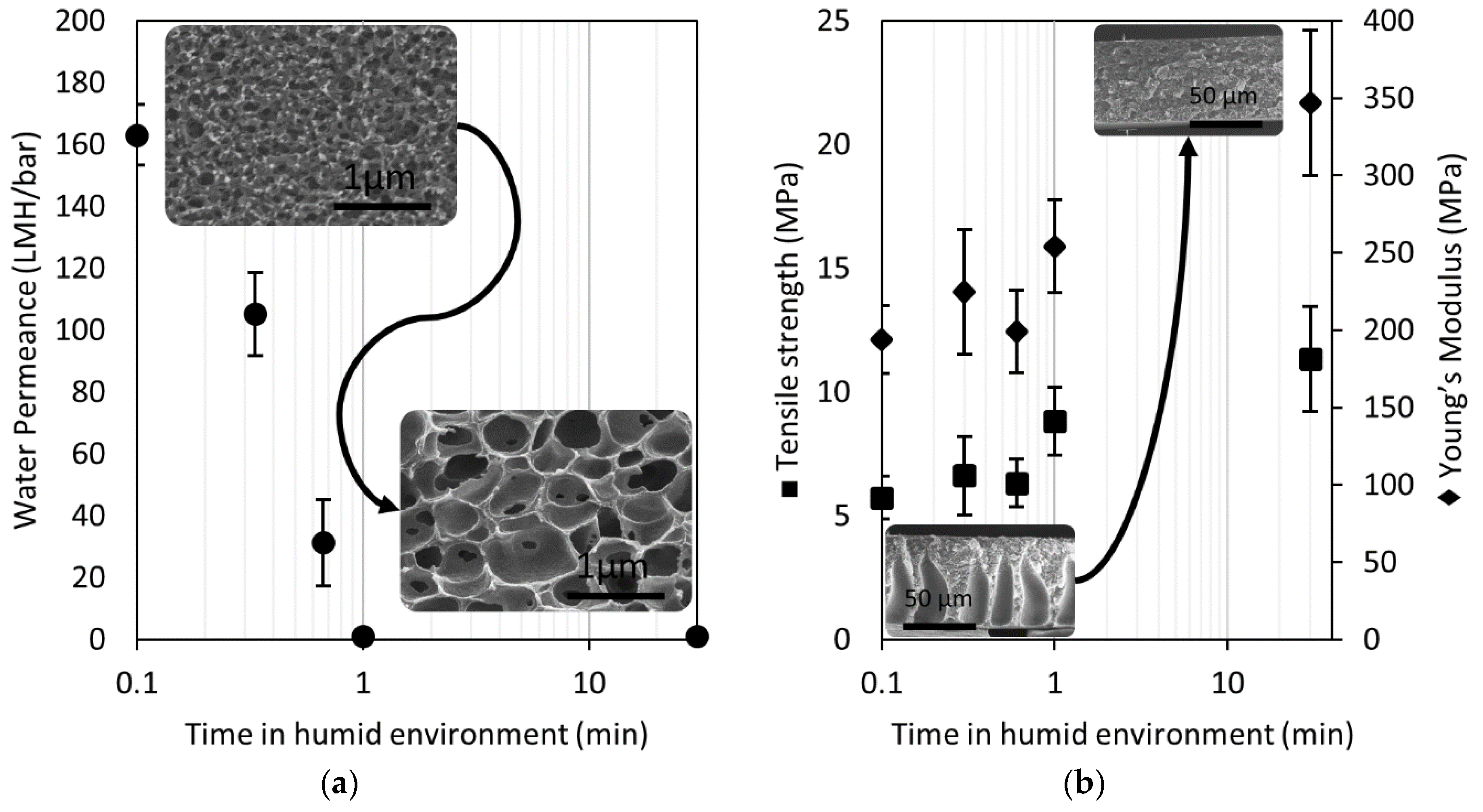 Membranes 08 00111 g003