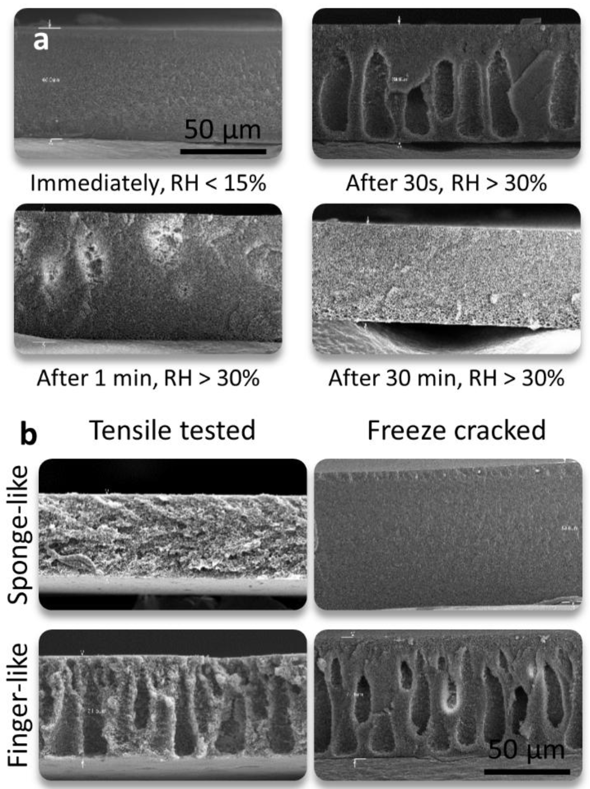 Membranes 08 00111 g004
