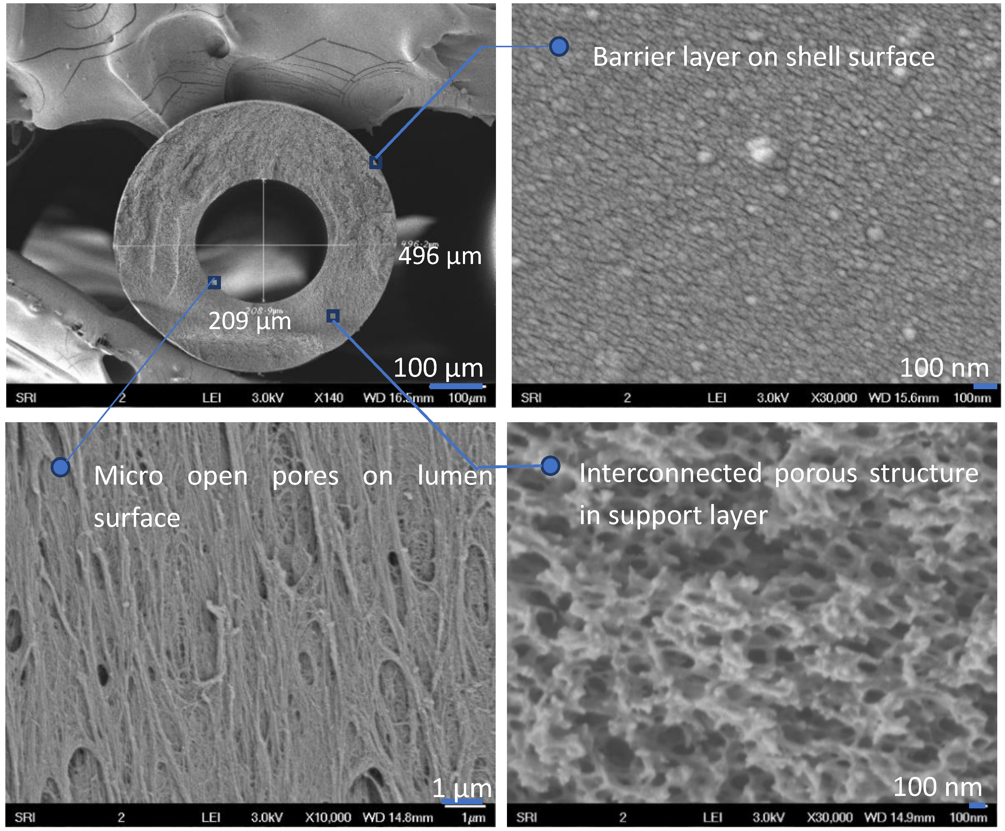 Membranes 08 00113 g005