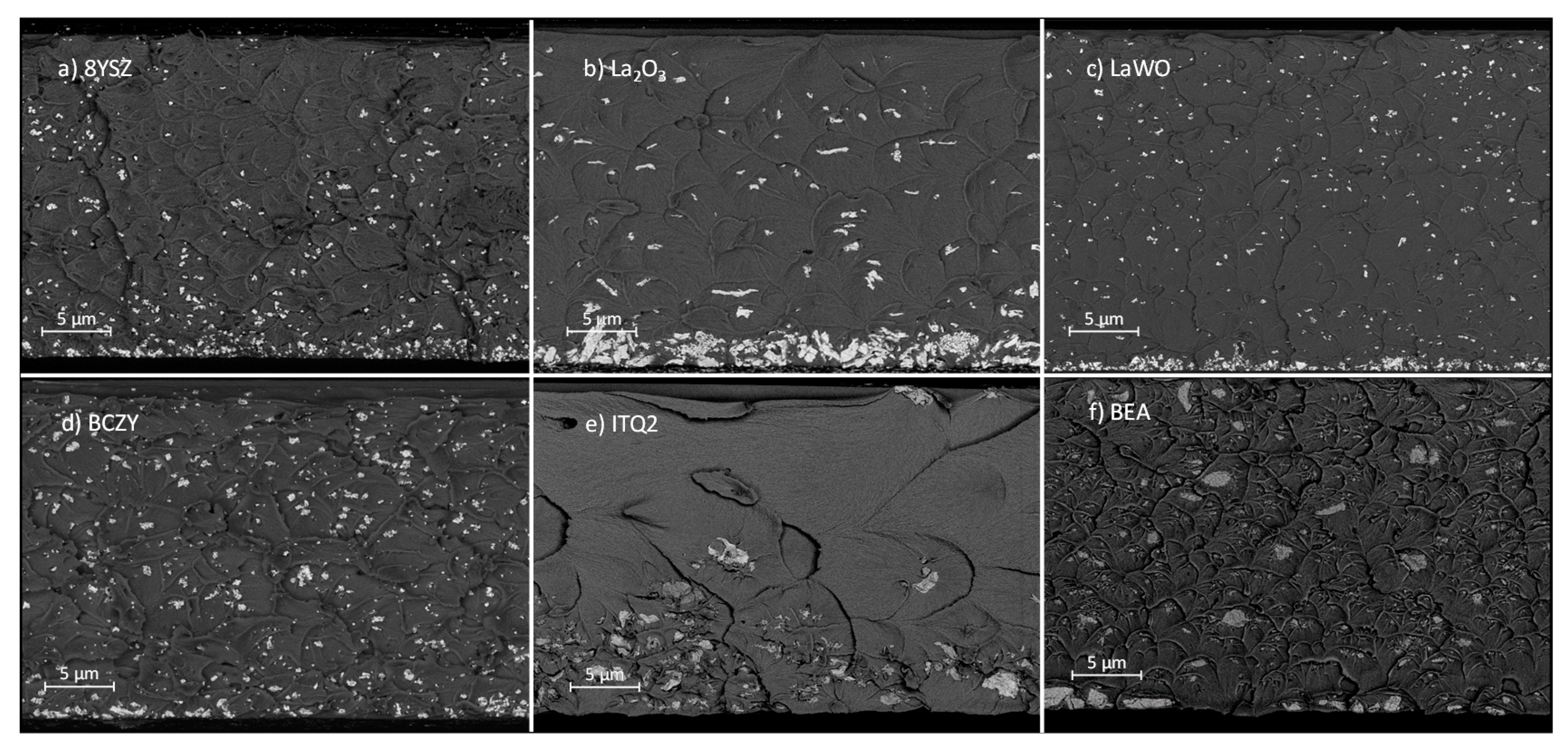 Membranes 08 00128 g005
