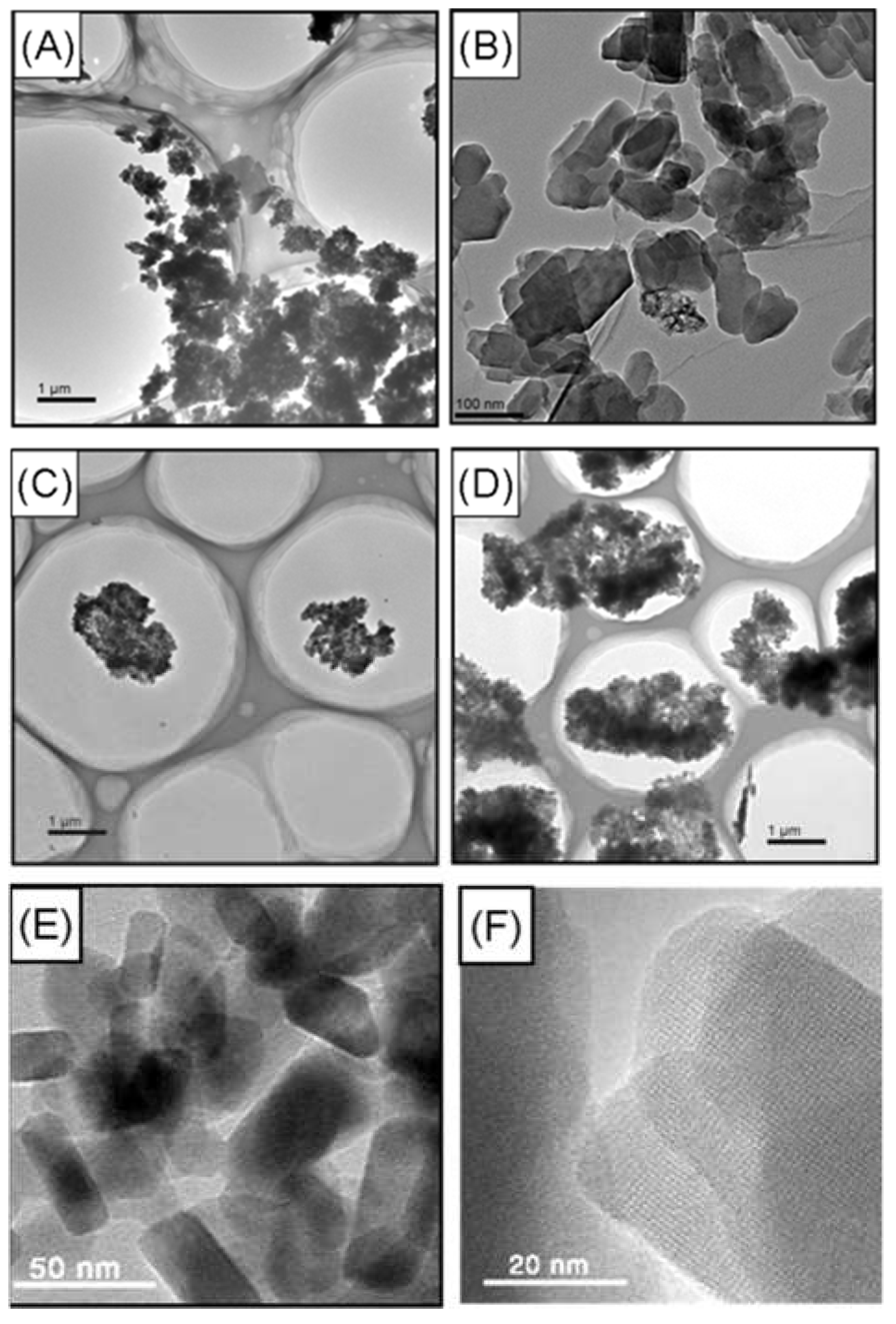 Membranes 08 00134 g012