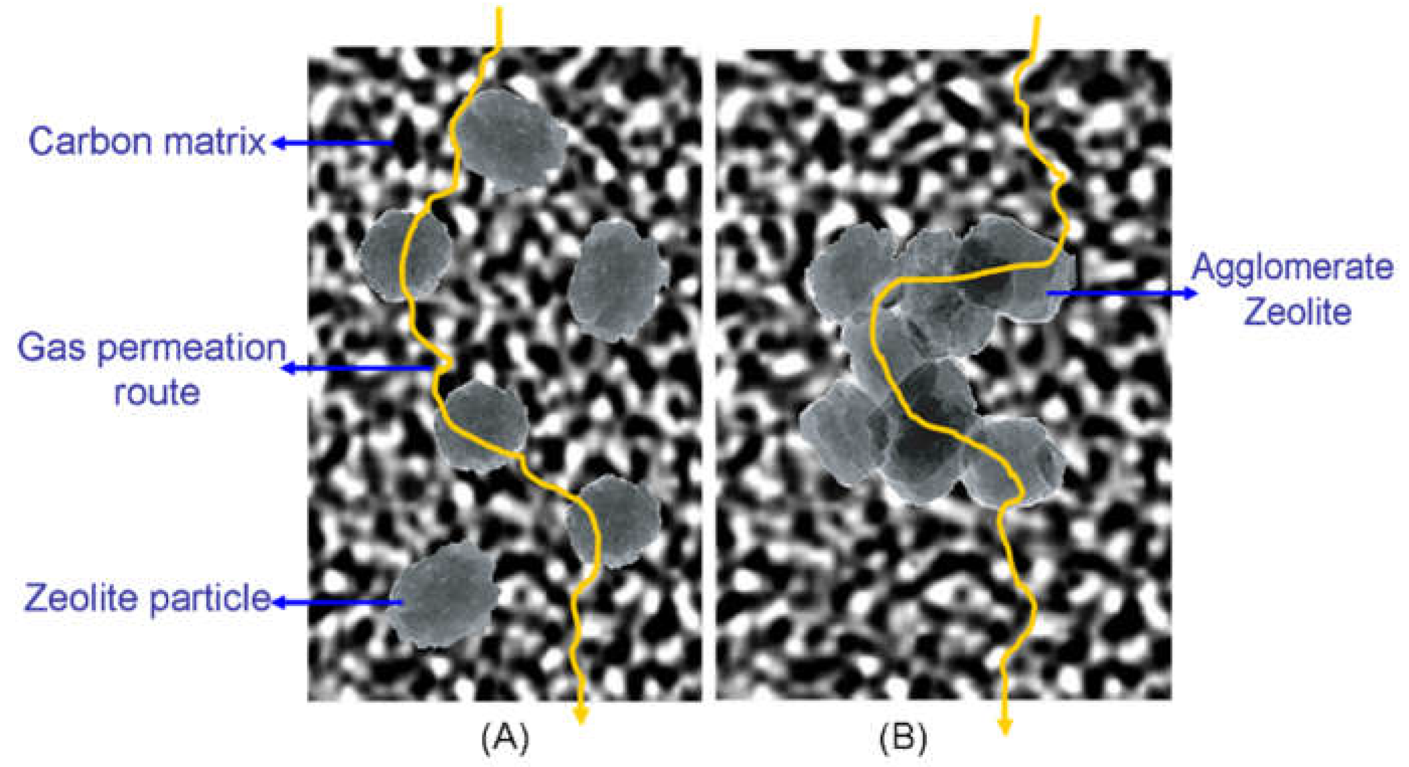 Membranes 08 00134 g013