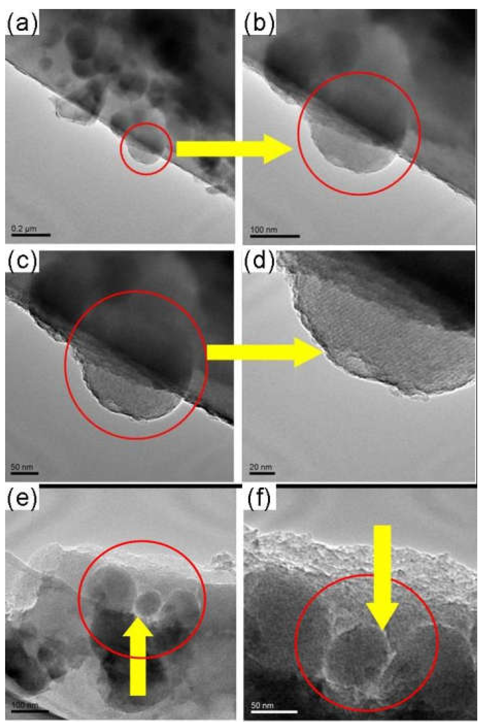 Membranes 08 00134 g019