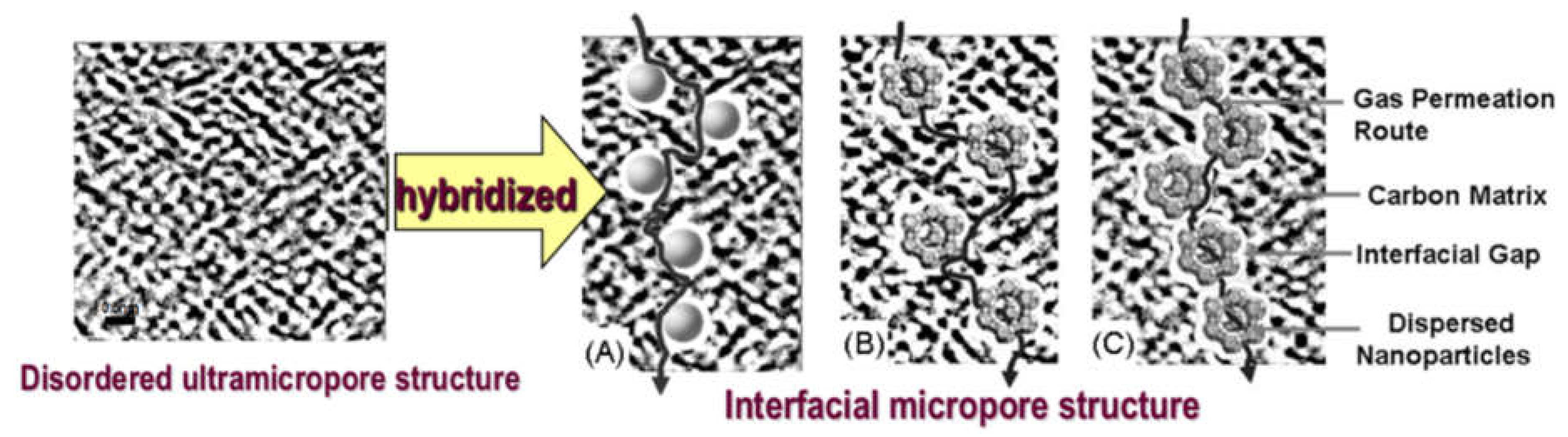Membranes 08 00134 g023