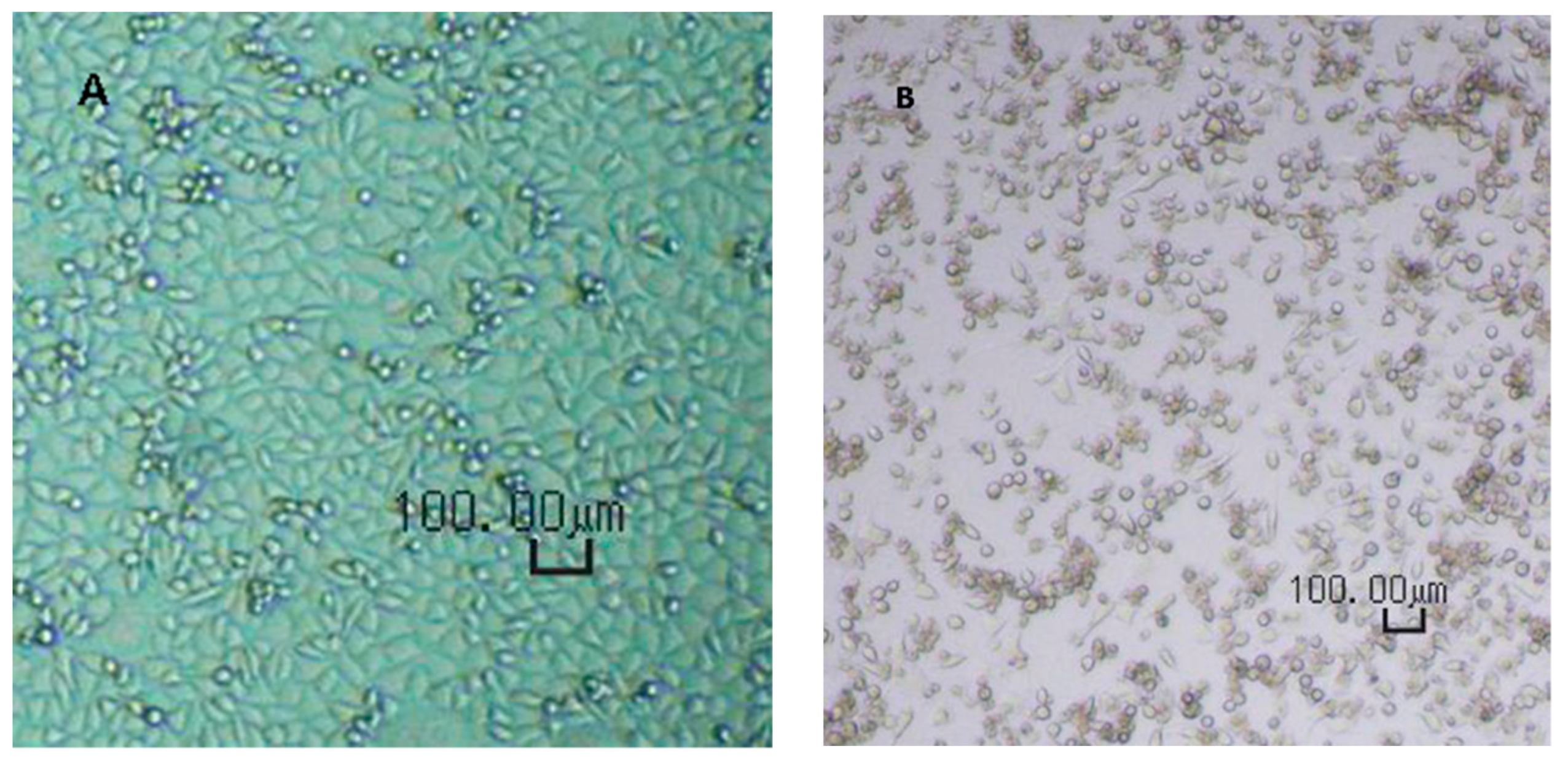 Membranes 09 00001 g001
