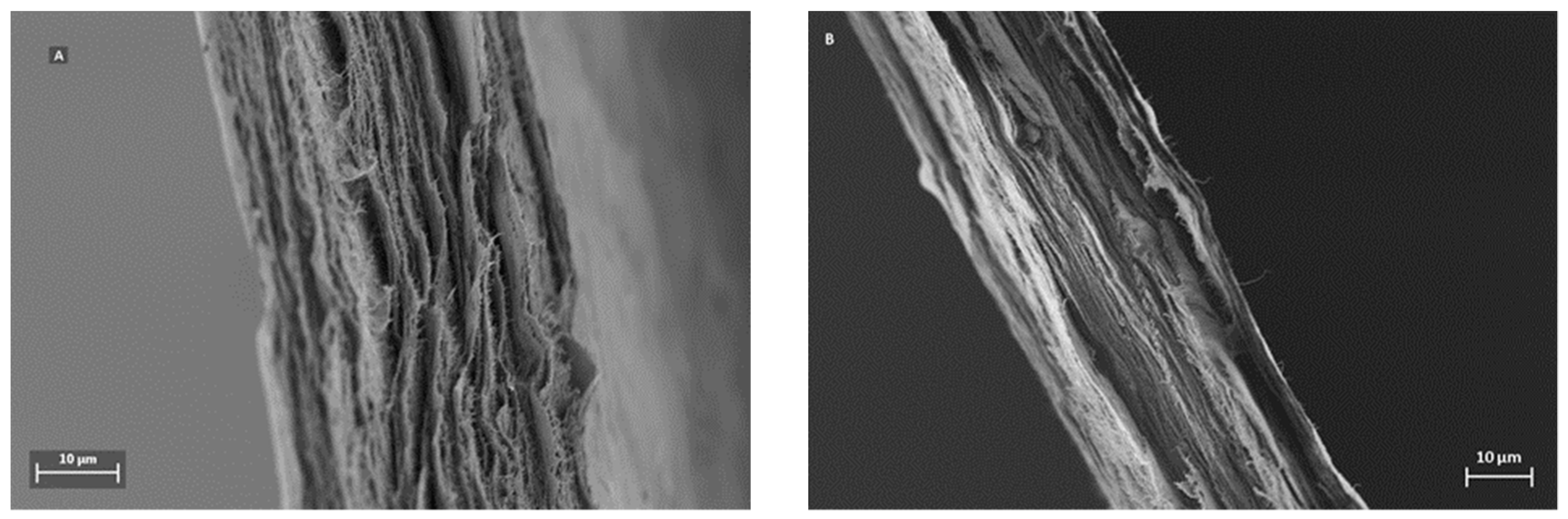 Membranes 09 00001 g003