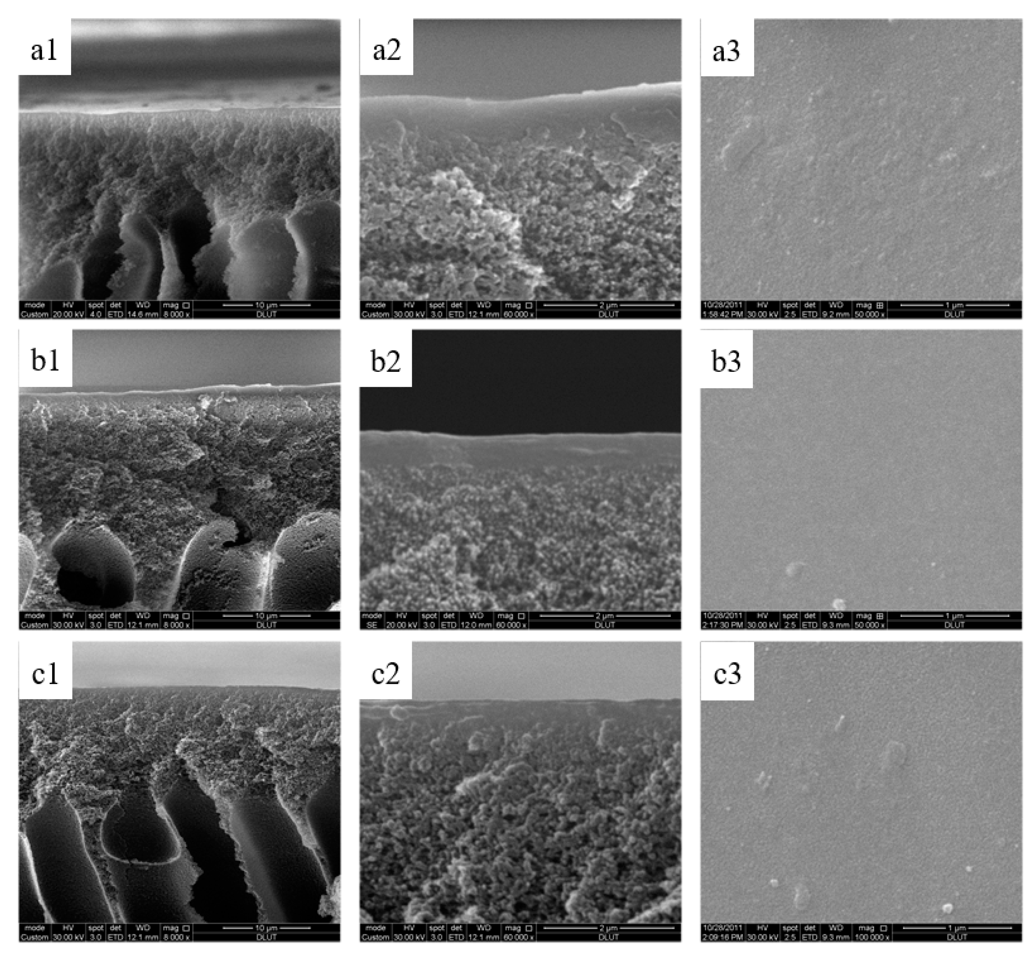 Membranes 09 00006 g007