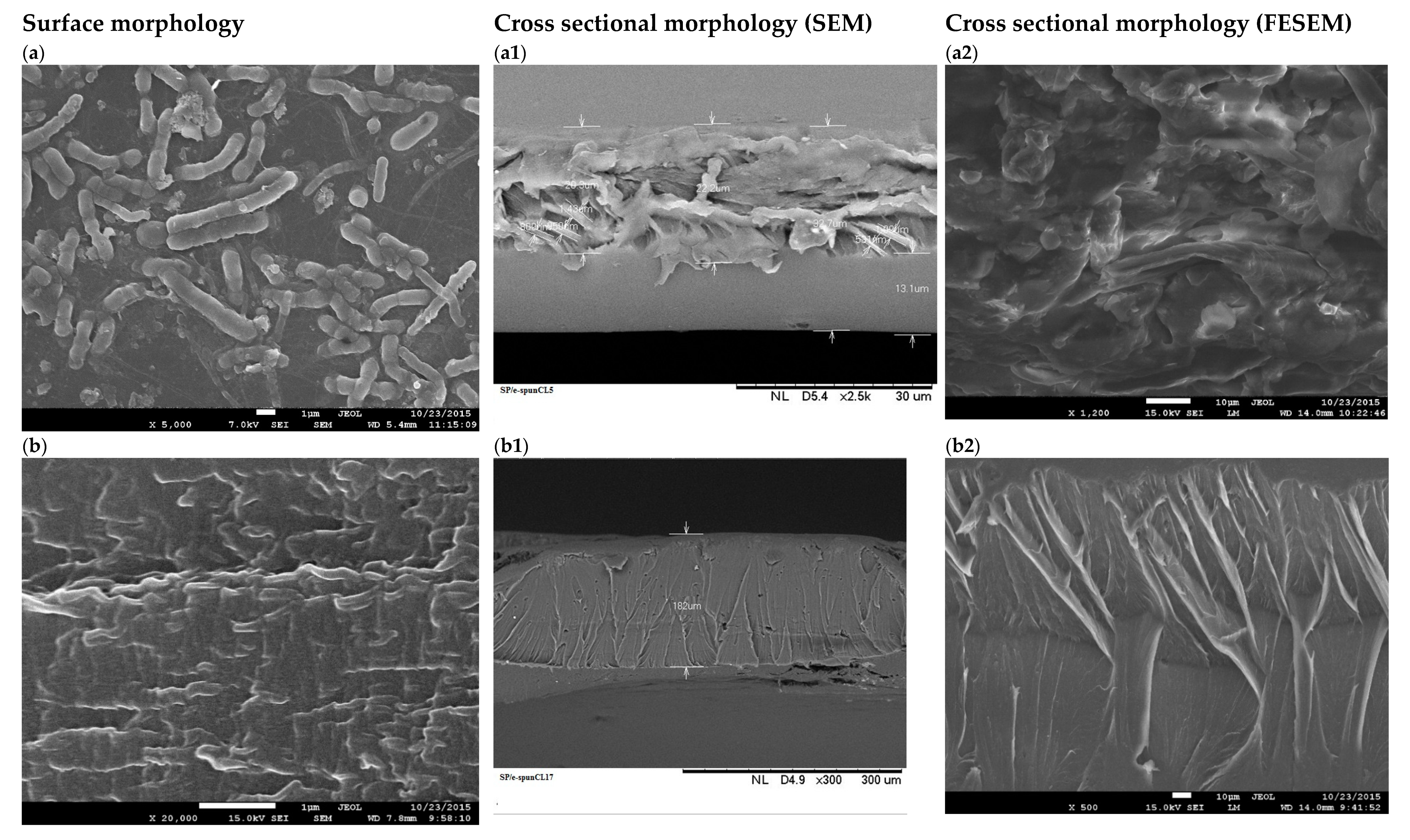 Membranes 09 00007 g006a