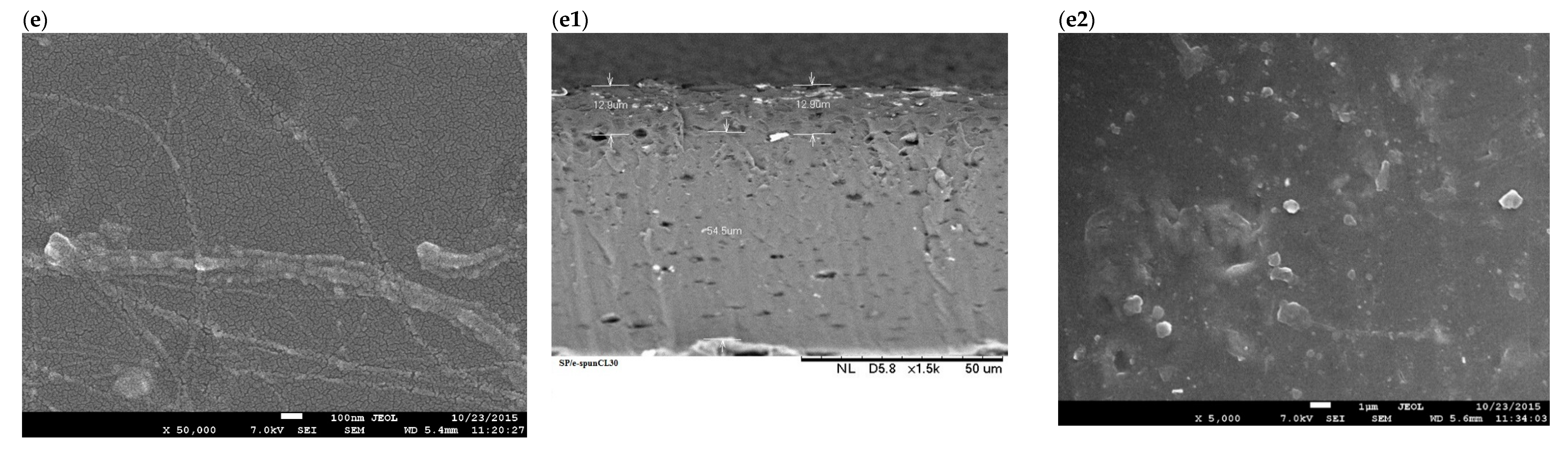 Membranes 09 00007 g006c