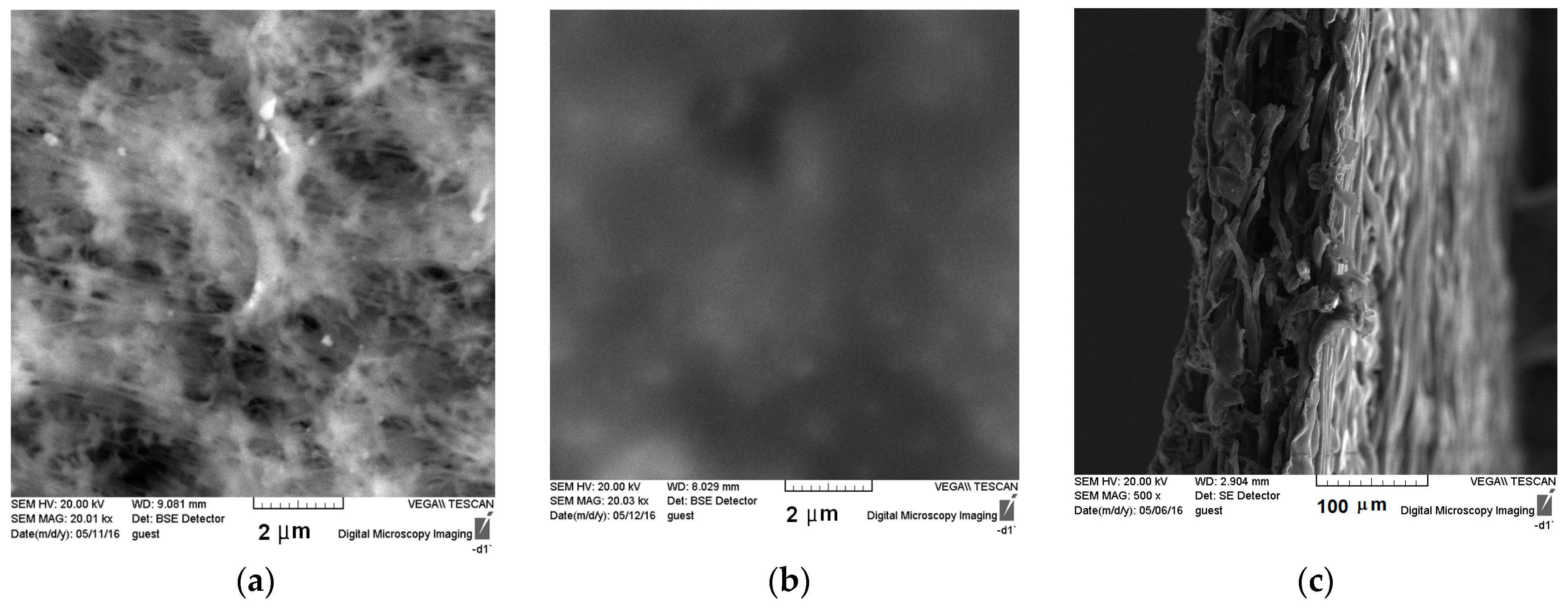 Membranes 09 00009 g003