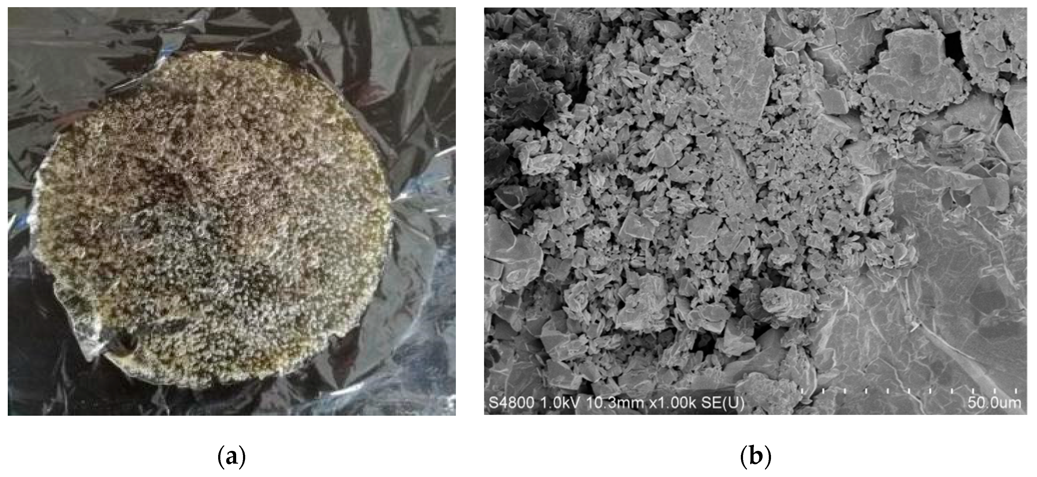 Membranes 09 00011 g001