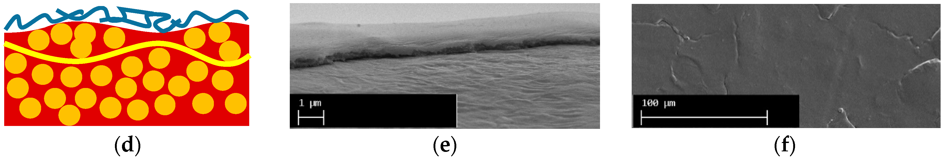 Membranes 09 00013 g001b 550