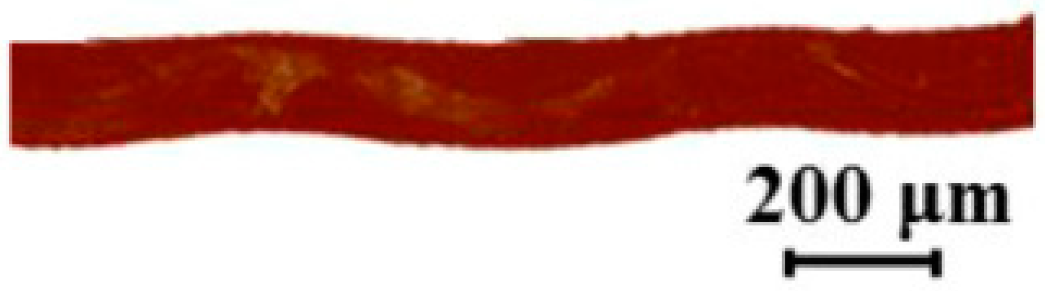 Membranes 09 00013 g008 550