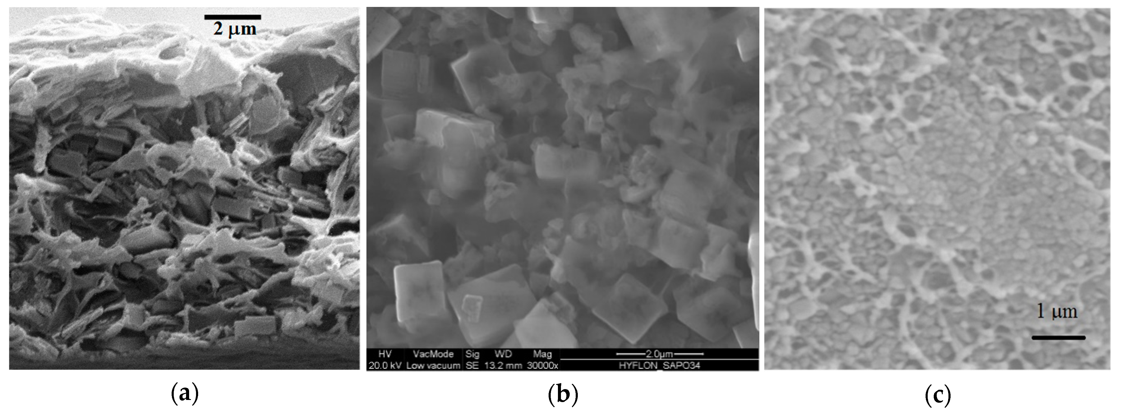Membranes 09 00019 g005 Membranes 09 00019 g005