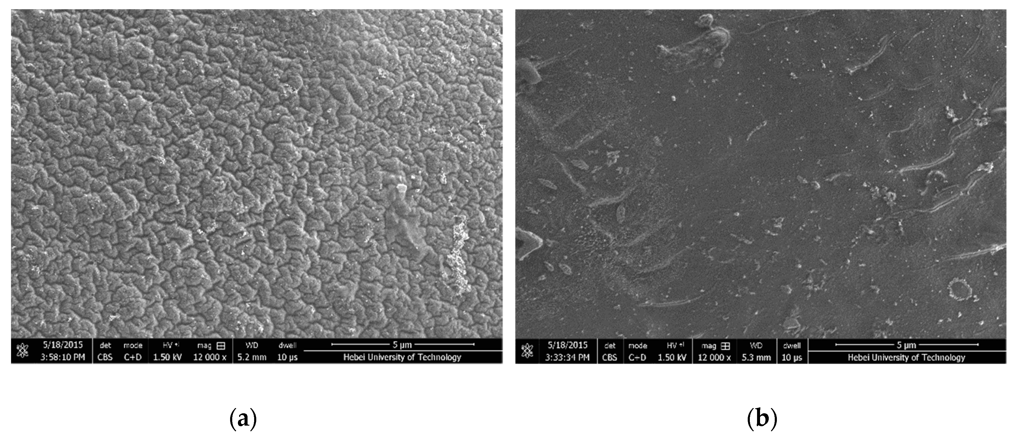 Membranes 09 00020 g002