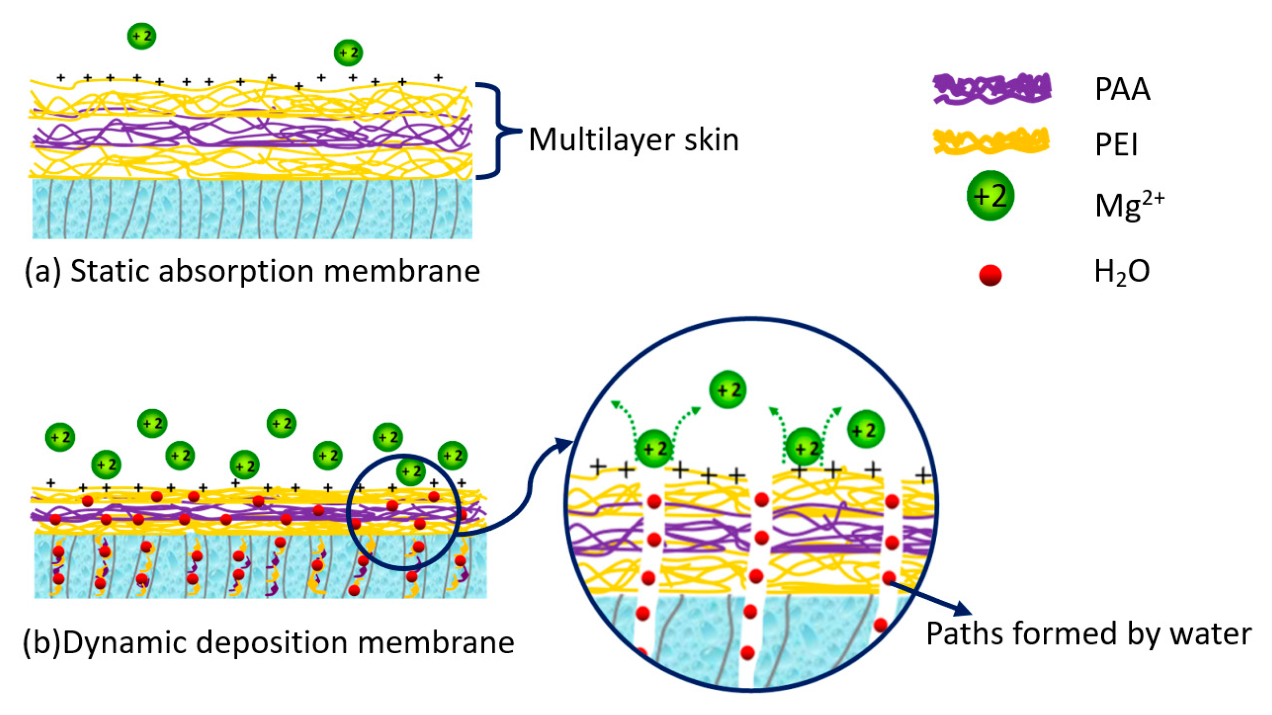 Membranes 09 00020 g007