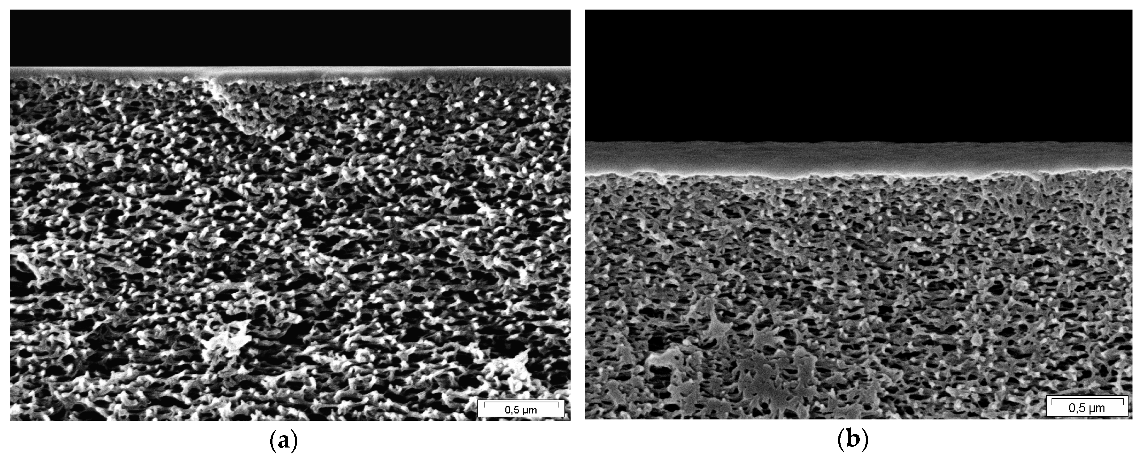 Membranes 09 00022 g008 Membranes 09 00022 g008