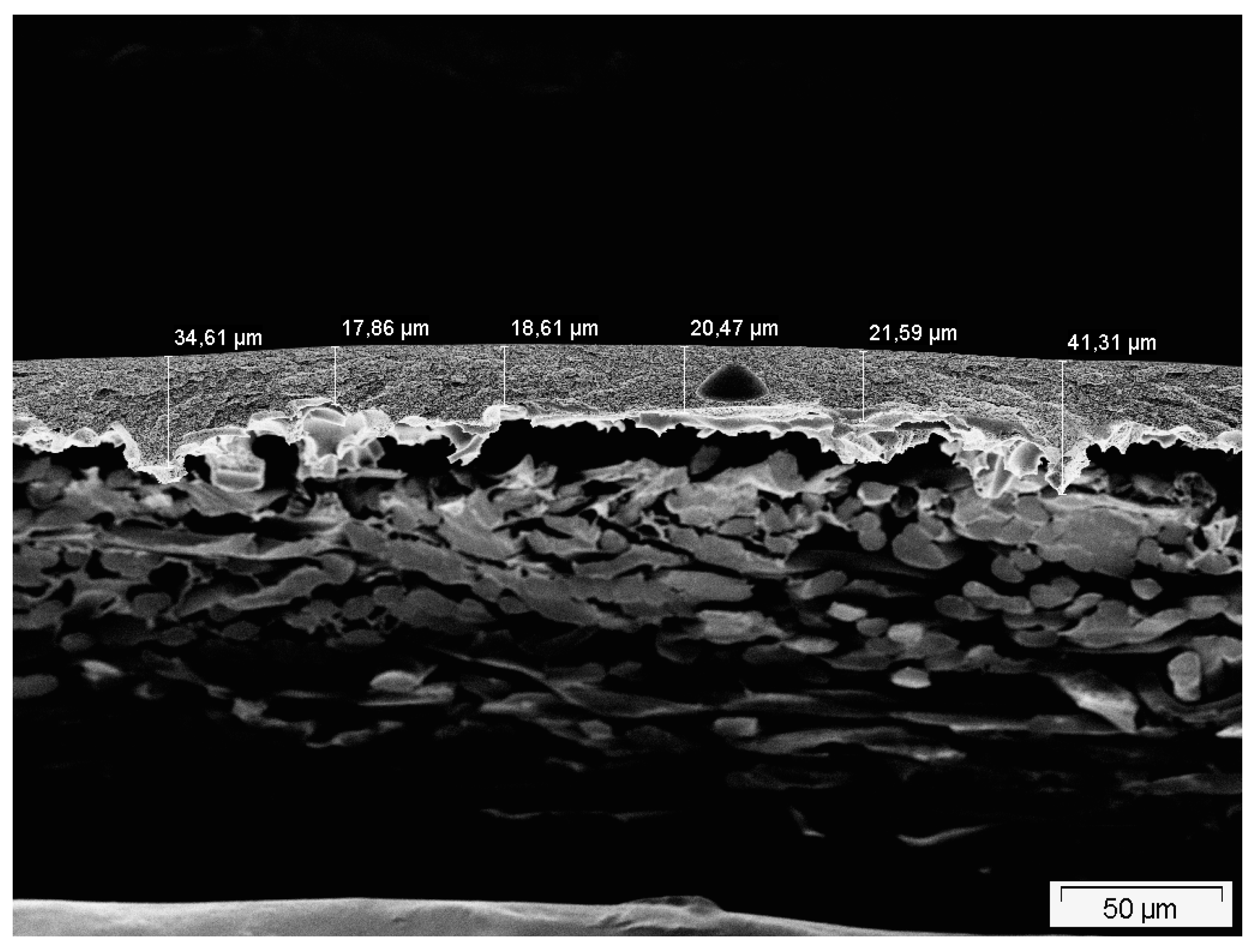 Membranes 09 00022 g0a1 Membranes 09 00022 g0a1